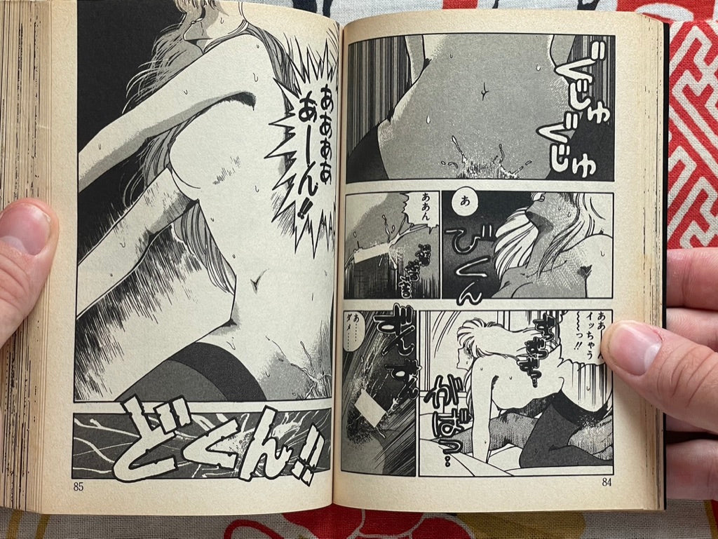 Girl Next Door Bunko Edition by Eri Mizushima (1988)