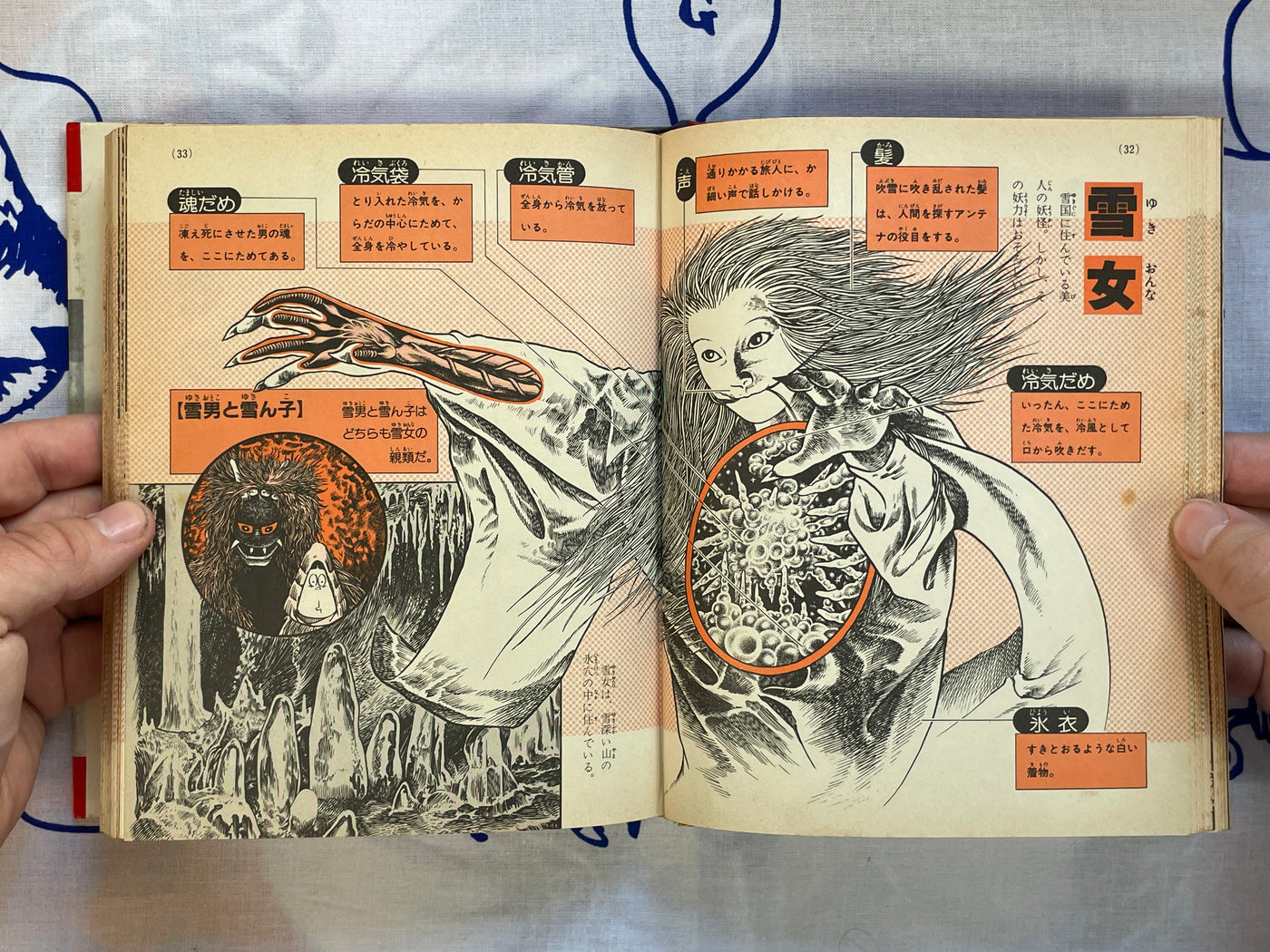 Yokai Pictorial - Hardcover by Mizuki Shigeru (1983) NEEDS DESCRIPTION
