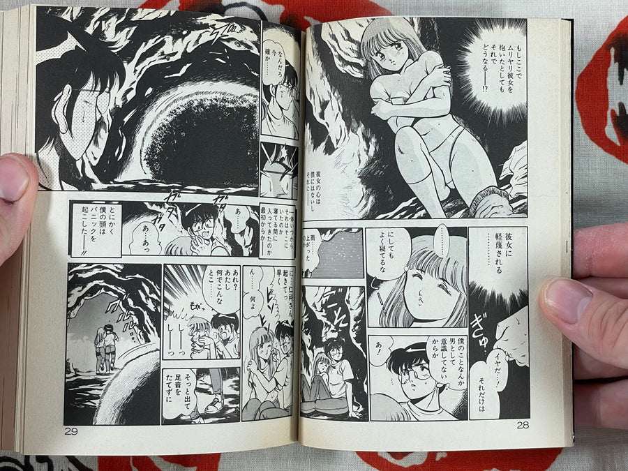 Someday for sure... Bunko Edition by Ichimasa Akiko (1992)