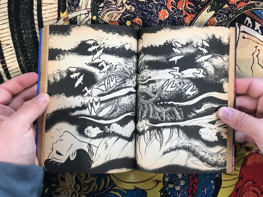 Bizarre Roman Comic 6 Basement Insect Hell 地下室の虫地獄 by Hino Hideshi (1988)