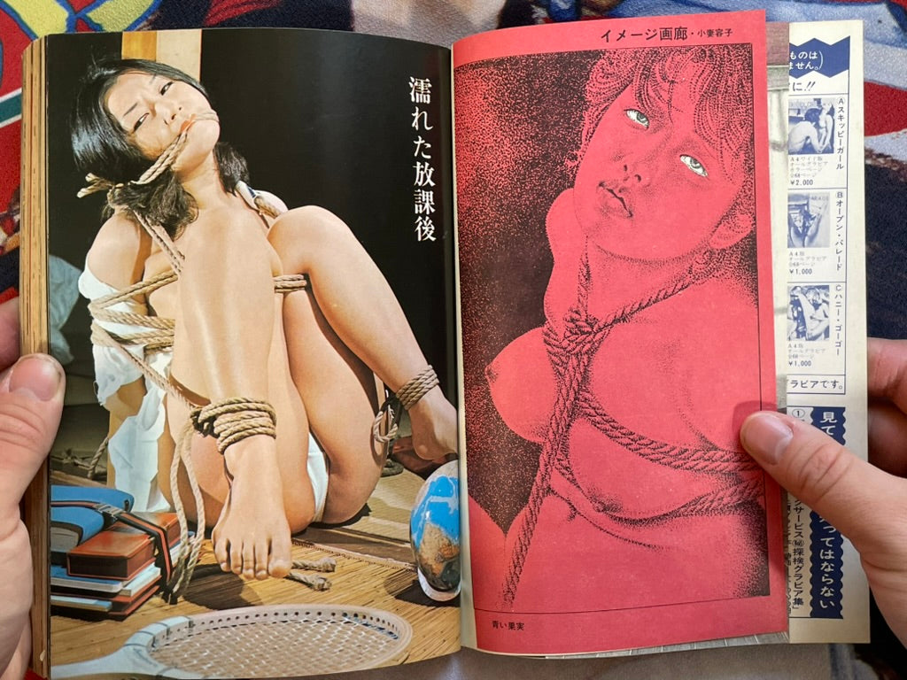 SM Collector (1974/8)