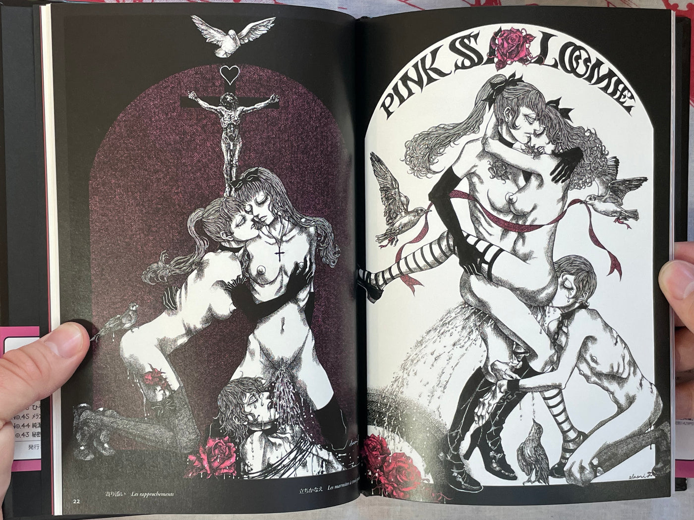 L'aventure de Mademoiselle Pipi by Saori Furukawa (2011)