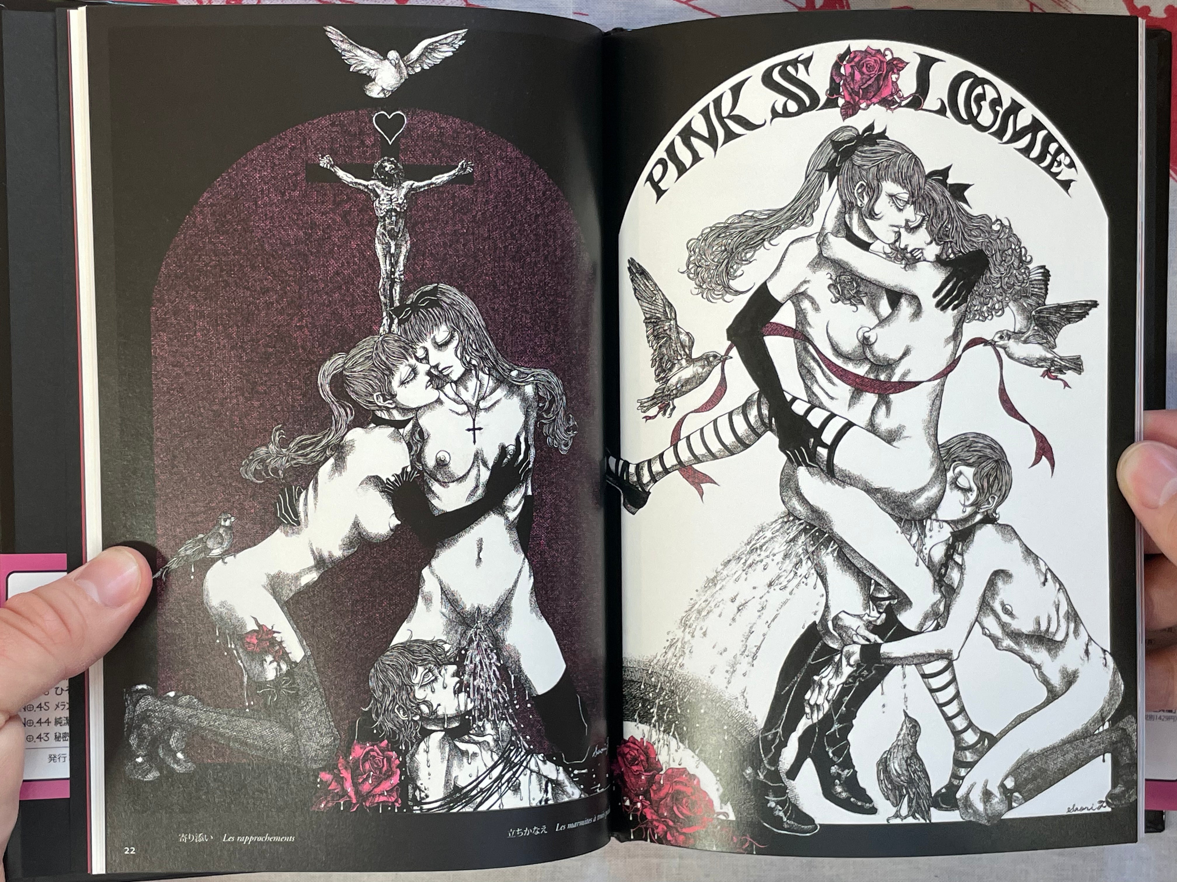 L'aventure de Mademoiselle Pipi by Saori Furukawa (2011)