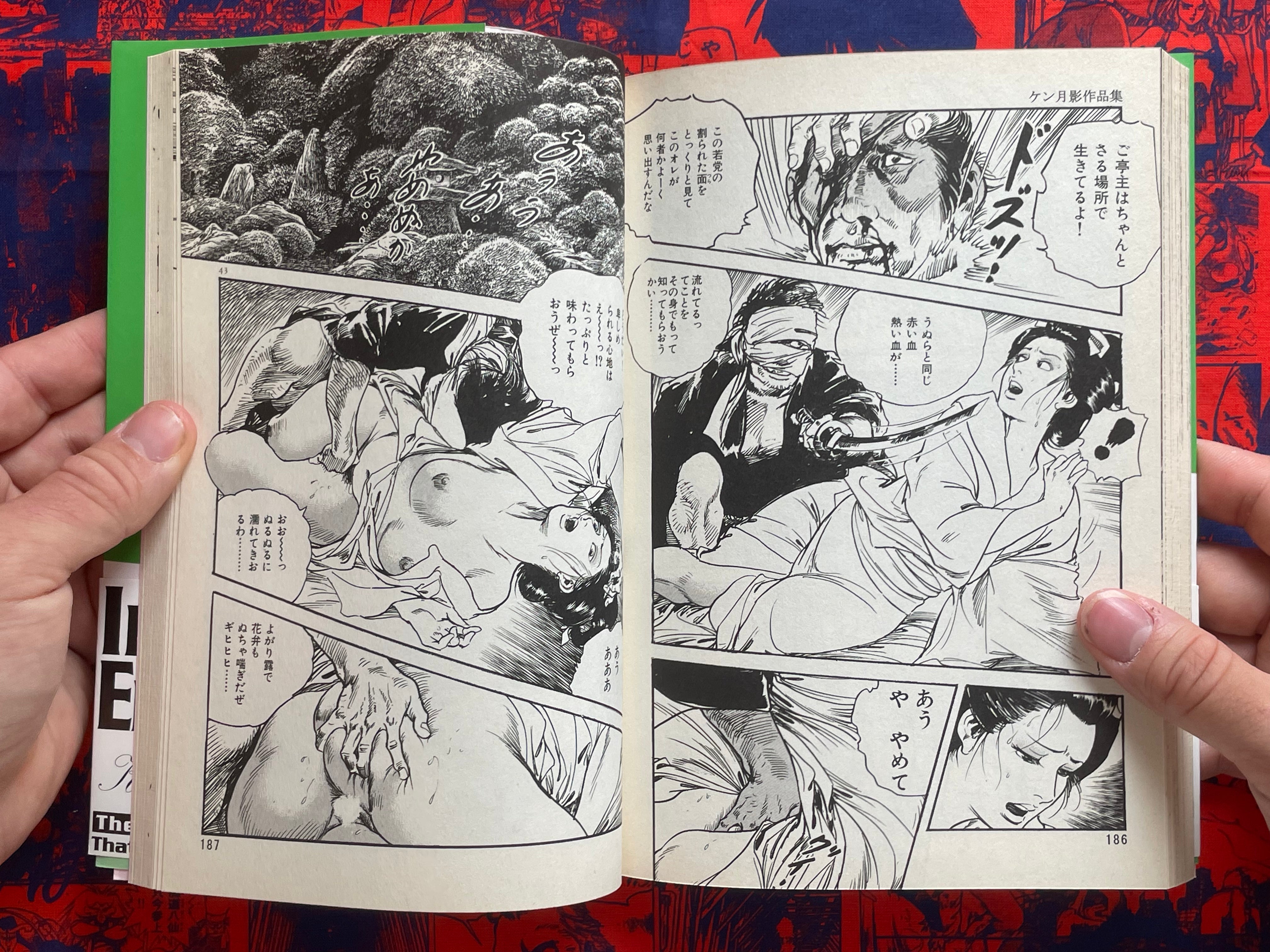 The Painter of Showa Volume Six by Ken Tsukikage (2004)
