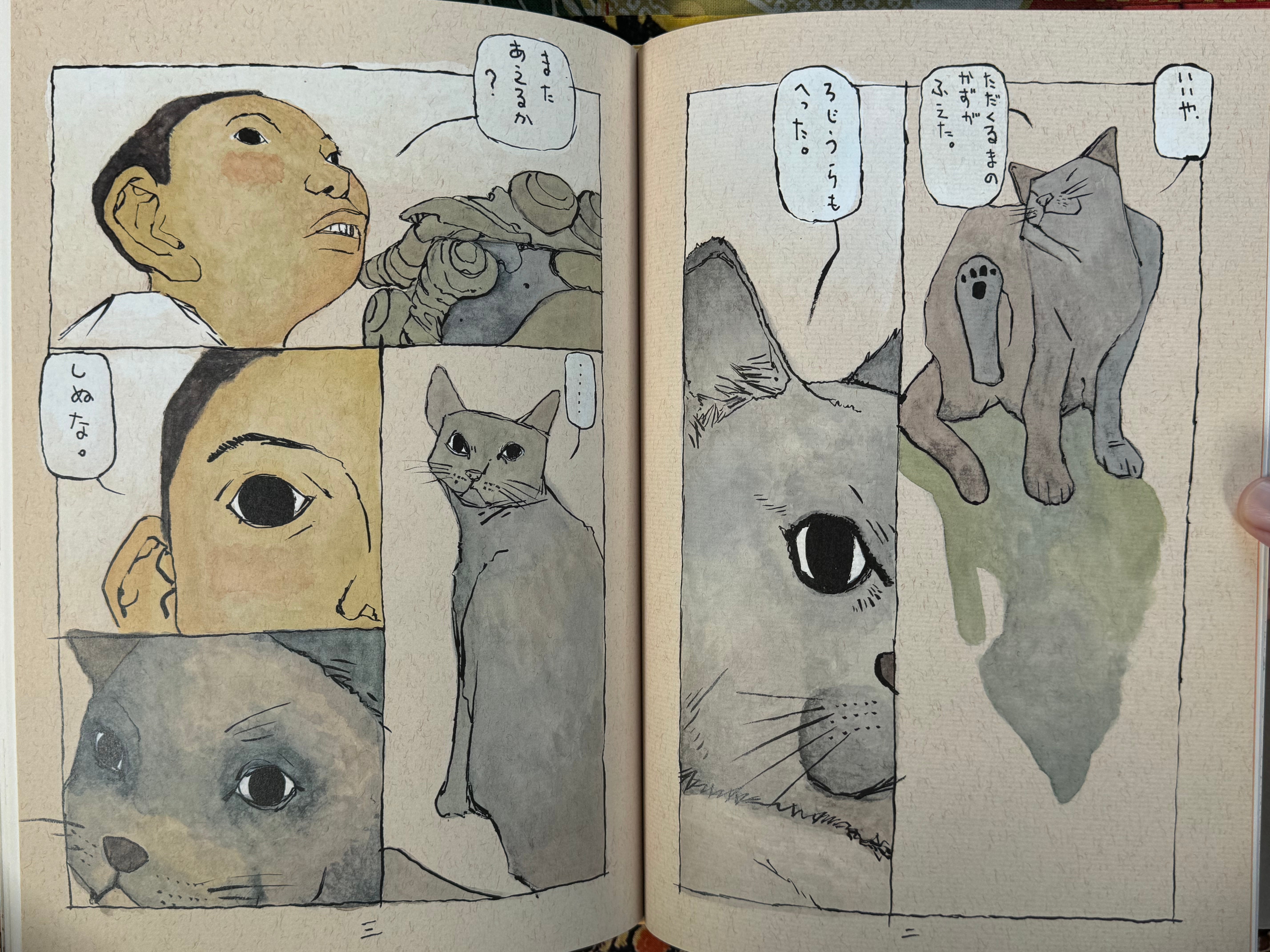 101 Illustration Book (1999) by Taiyo Matsumoto