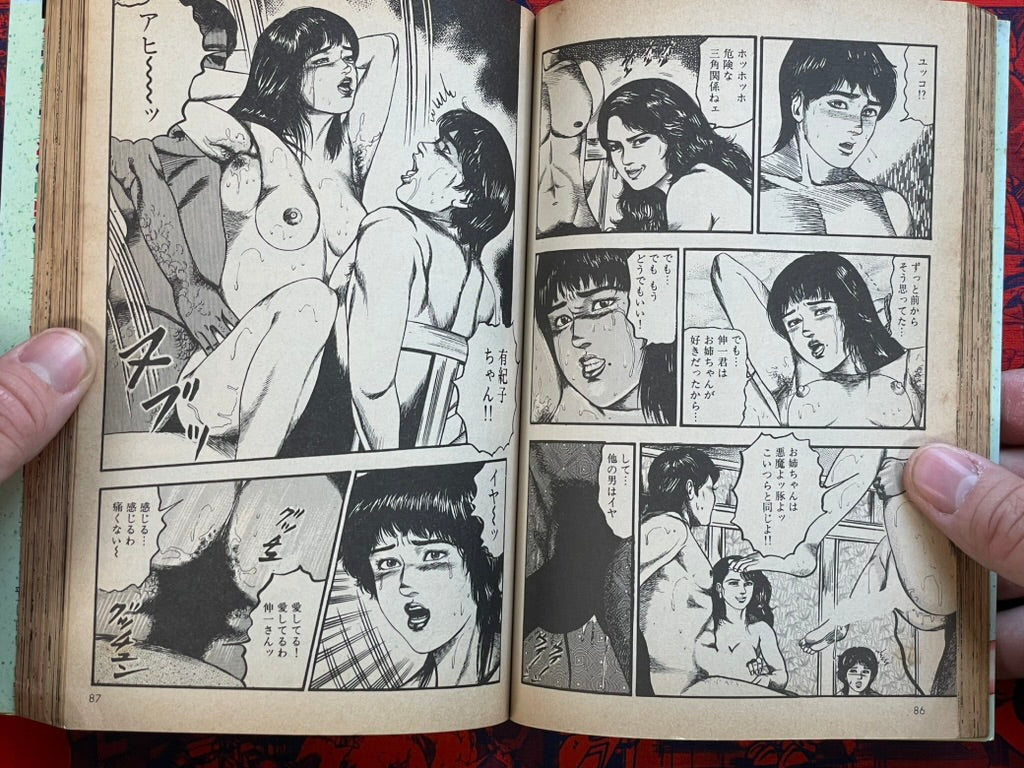 Young Nami 6 by Tomomi Sanjo (1989)