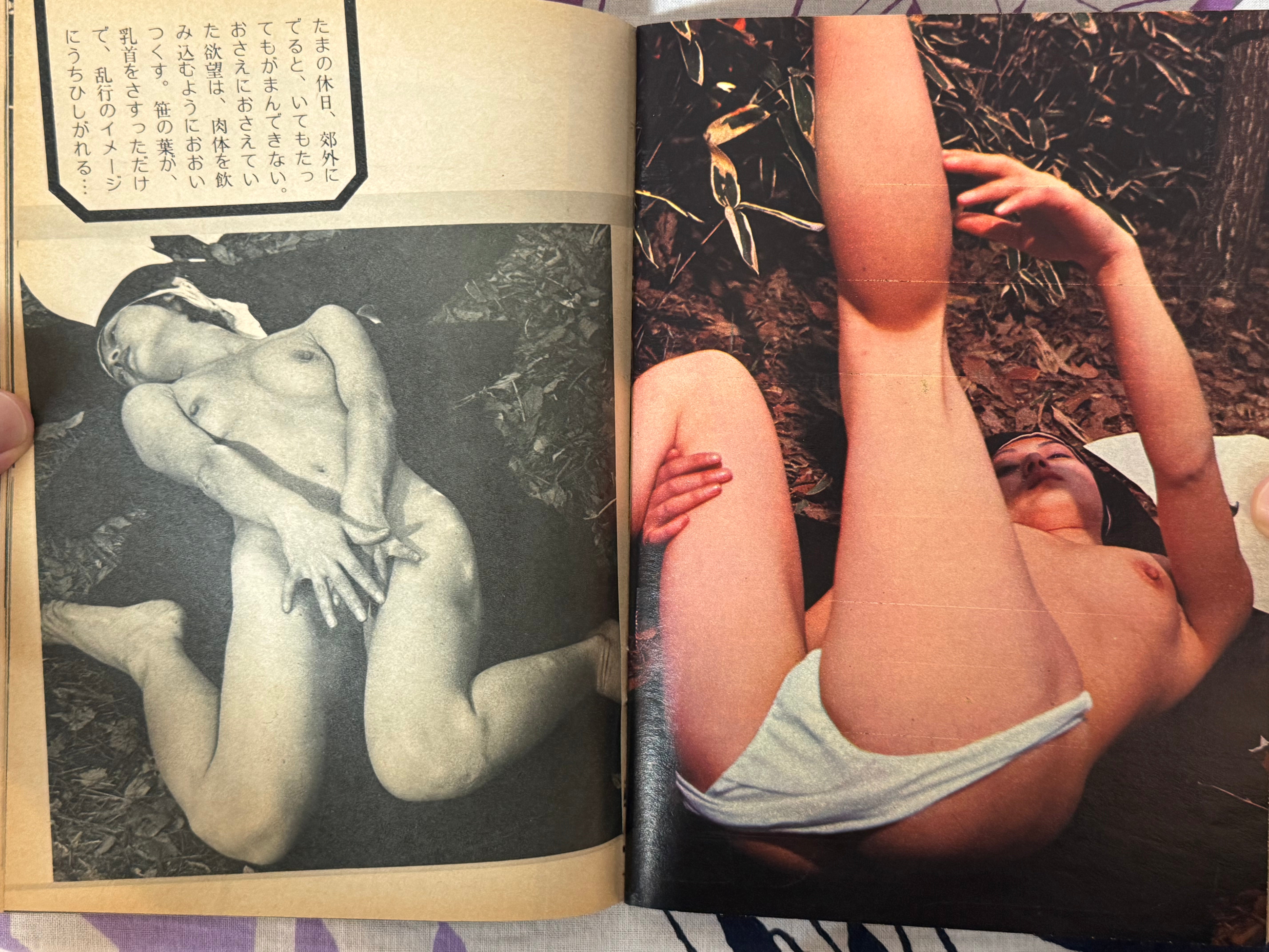 Coquette Magazine Vol. 47 (7/1975)