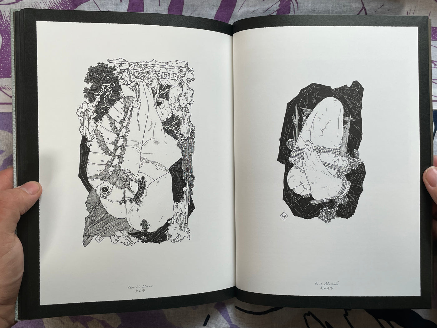 SIGNED Allure of Pharmakon - Hardcover + Slipcover by Yamamoto Takato (2023)