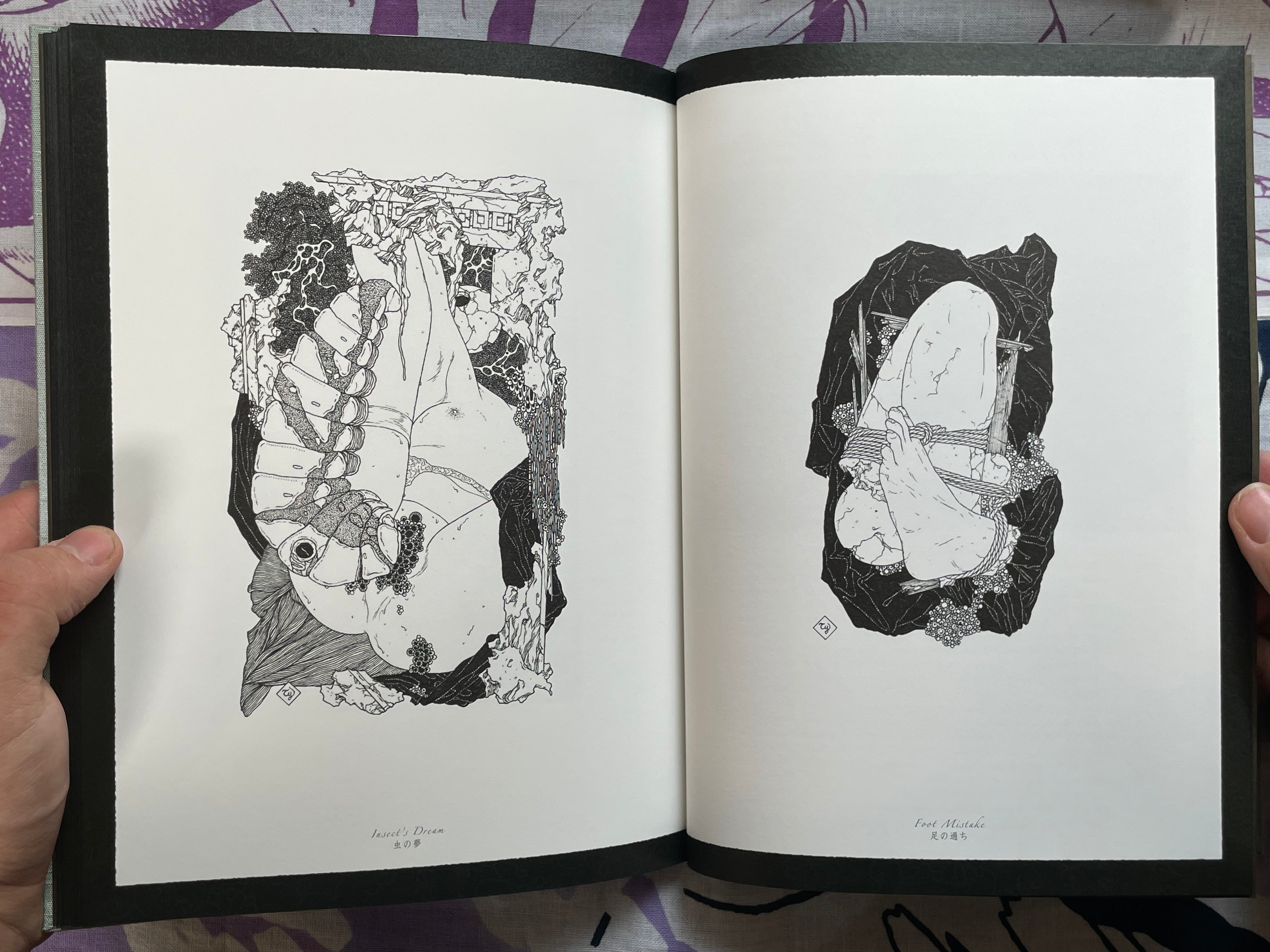 SIGNED Allure of Pharmakon - Hardcover + Slipcover by Yamamoto Takato (2023)