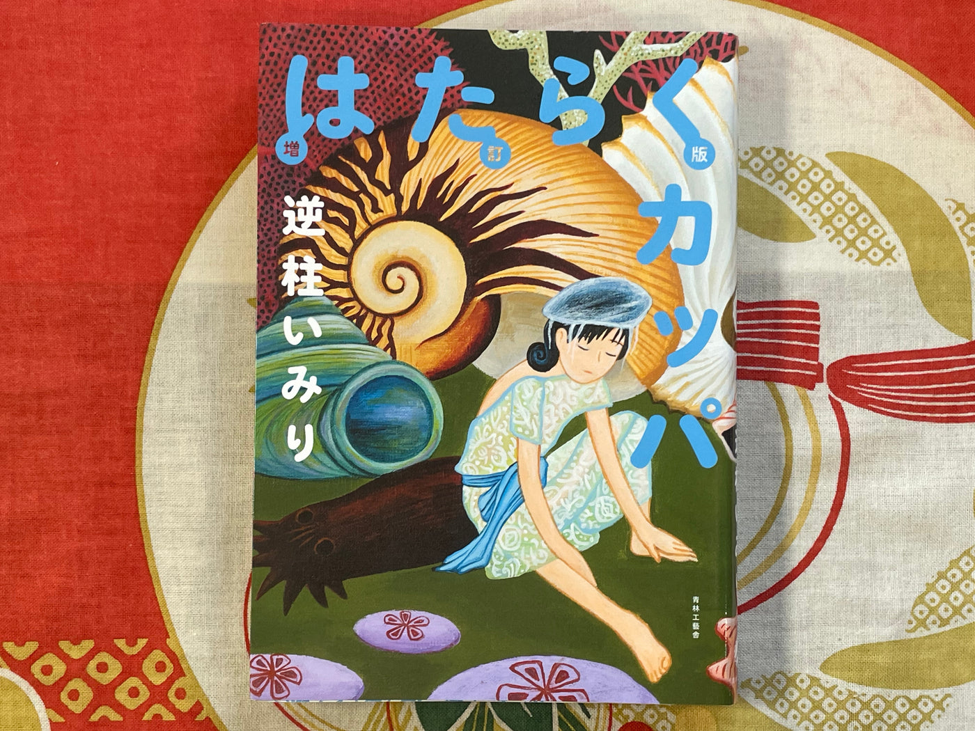 SIGNED Working Kappa by Imiri Sakabashira (2005)