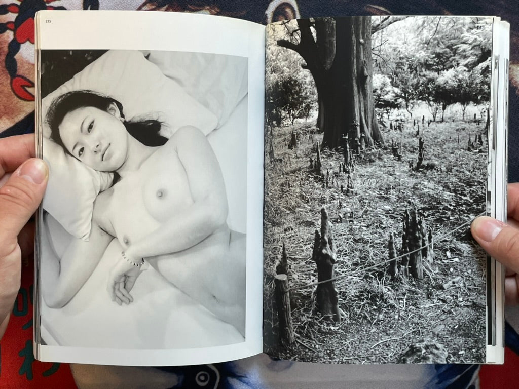 Morphine Doesn't Work in May - Slipcover by Araki Nobuyoshi (2004)