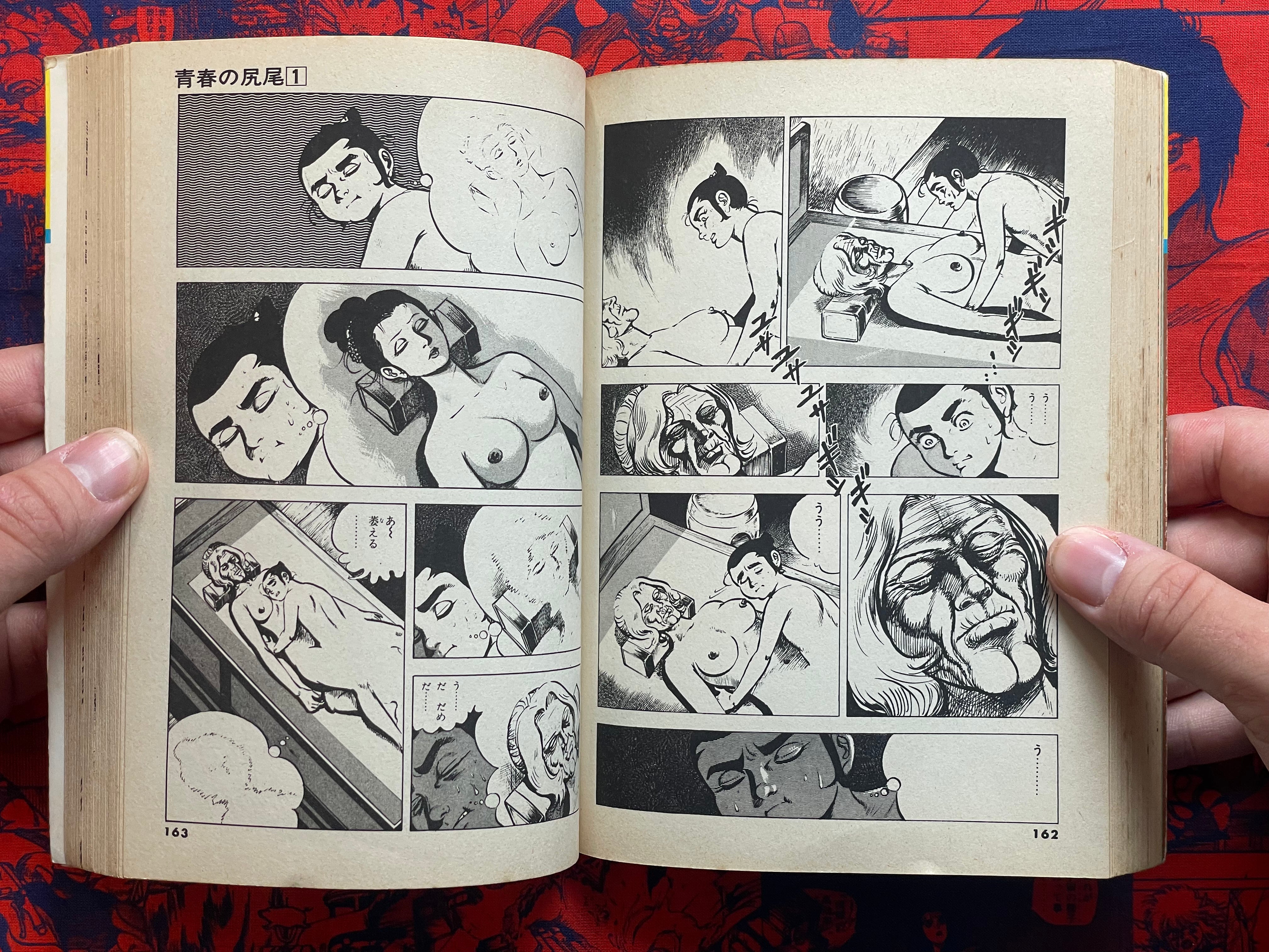 Tail of Youth 1-6 Full Set by Kazuo Koike (1978)-thumbmail-18