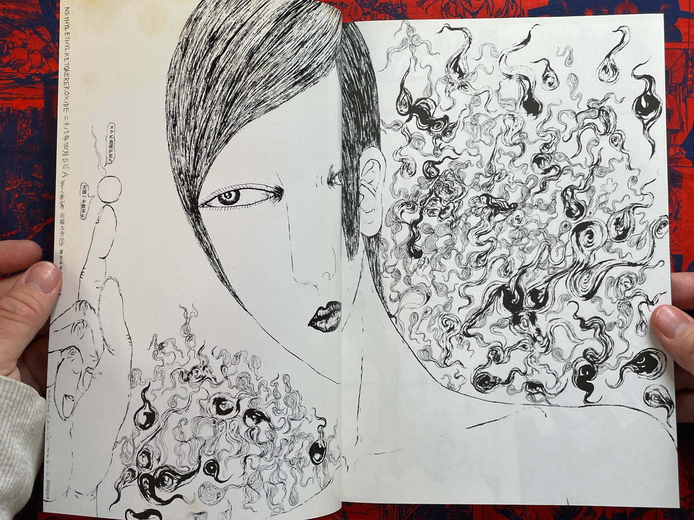 Badadoor Methylethlketone Peroxide by Daisuke Ichiba (2000s?)