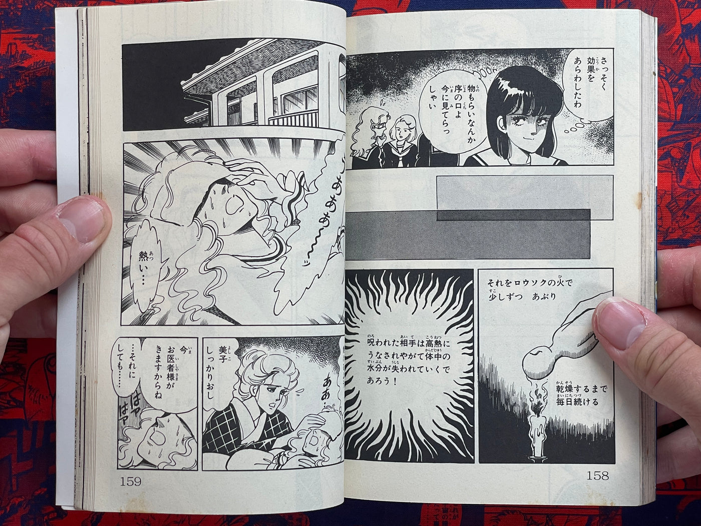 Demon's Revenge by Hironaga Maki (1986)