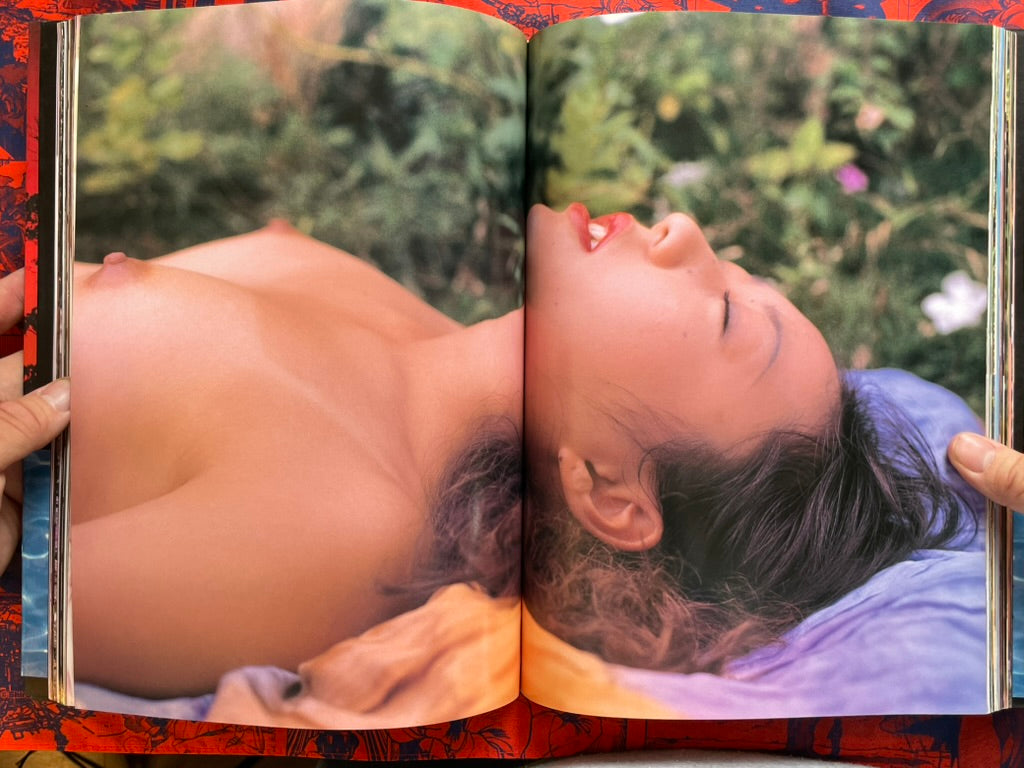 The Diary of the Southern Cross by Araki Shumei (1994)