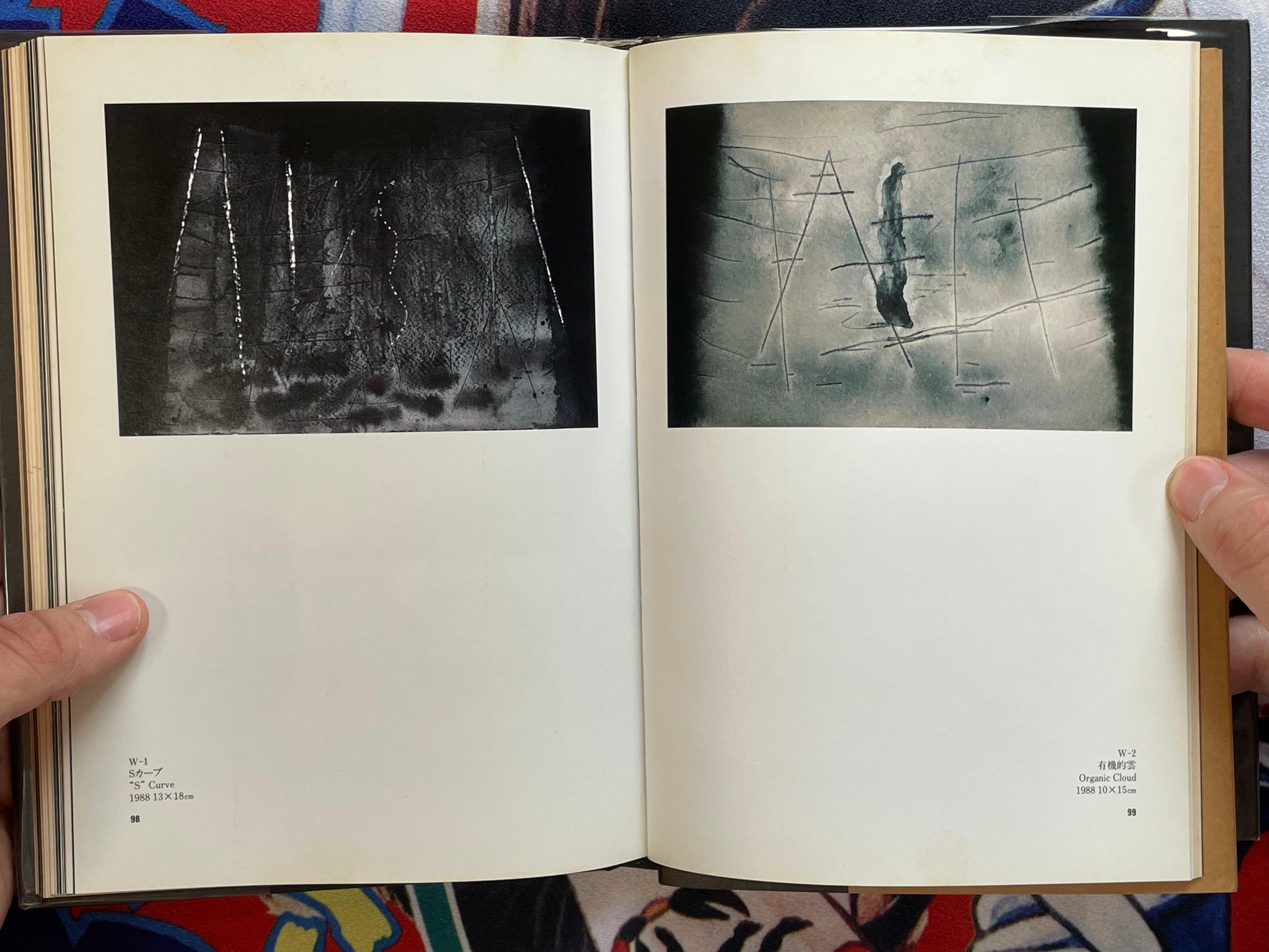 David Lynch Paintings Drawings w/ English Translation Supplemental by David Lynch & Touko Museum of Contemporary Art (1991)-thumbmail-17