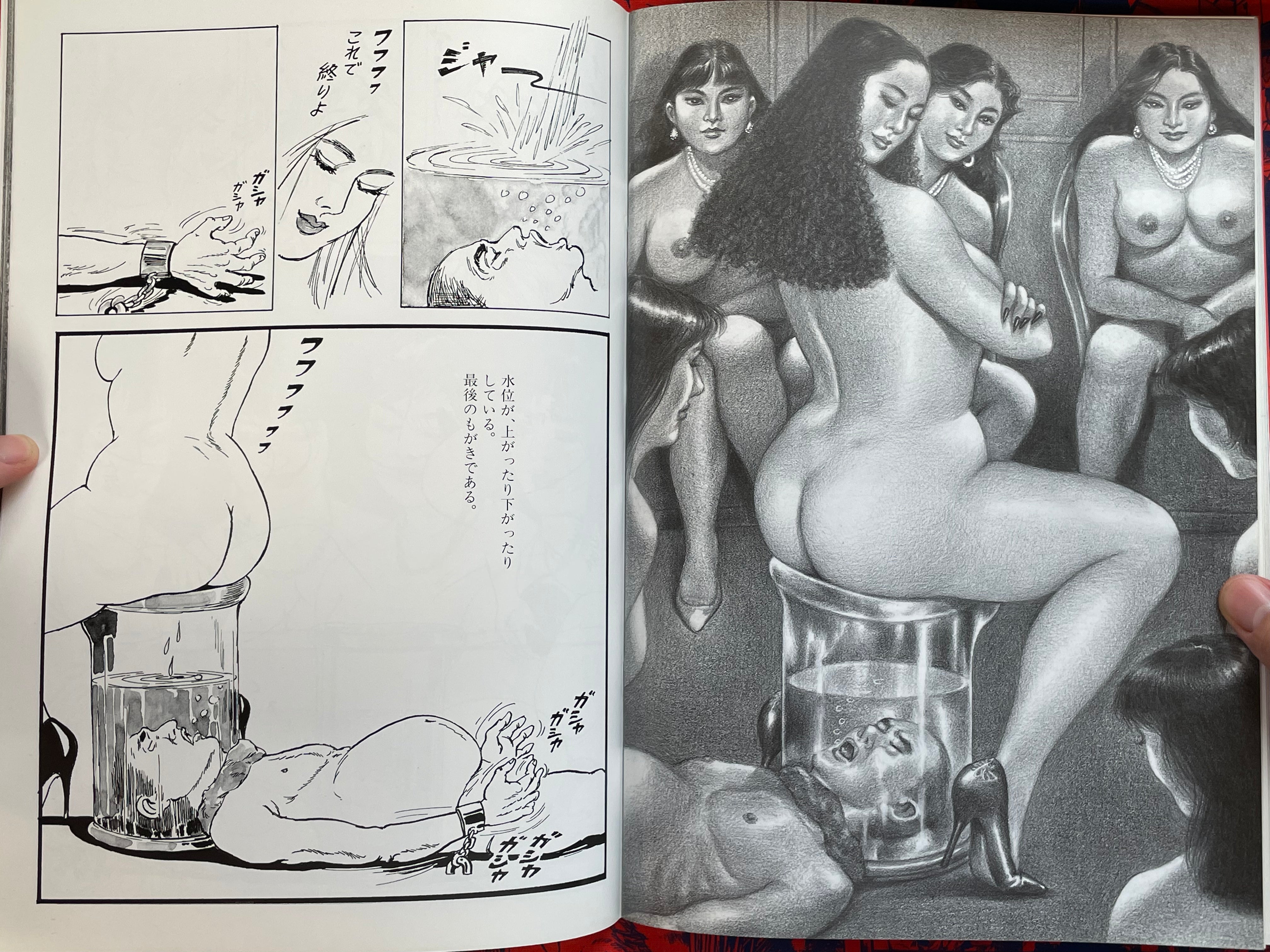 Queen of Execution Island by Namio Harukawa (1980s?)