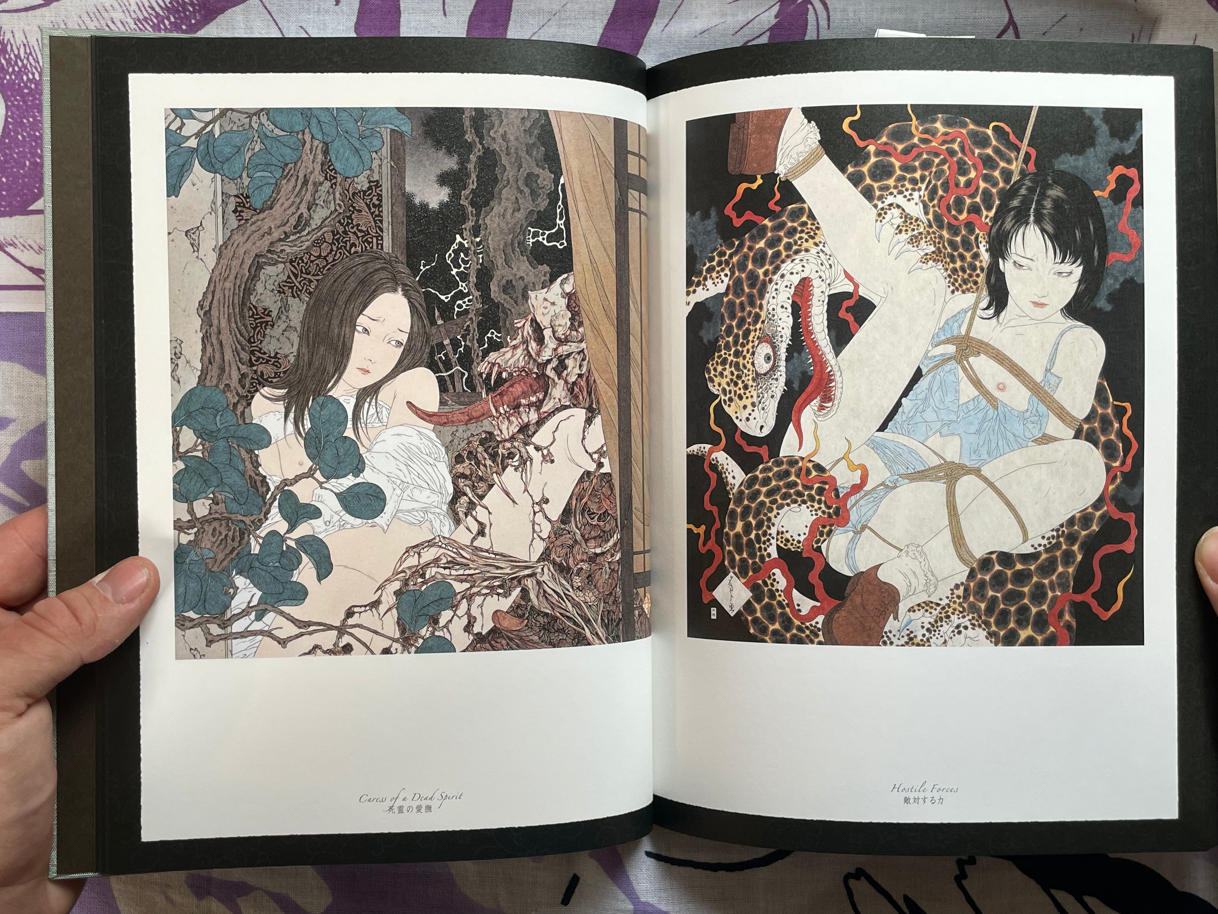 SIGNED Allure of Pharmakon - Hardcover + Slipcover by Yamamoto Takato (2023)