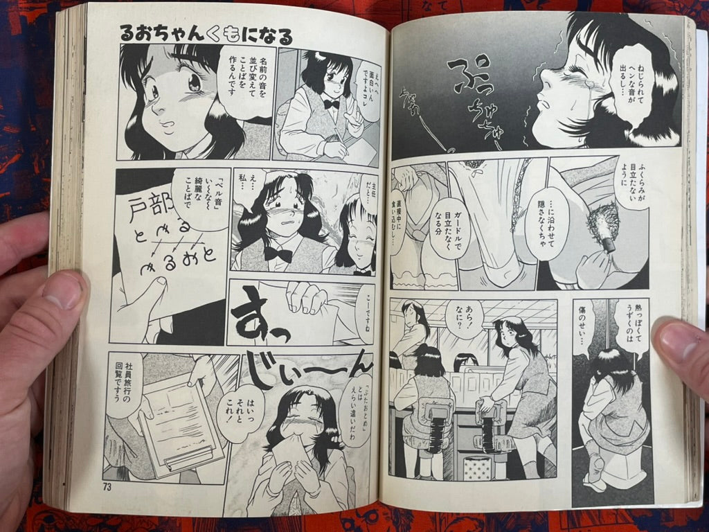 Flamingo Magazine (6/1995)