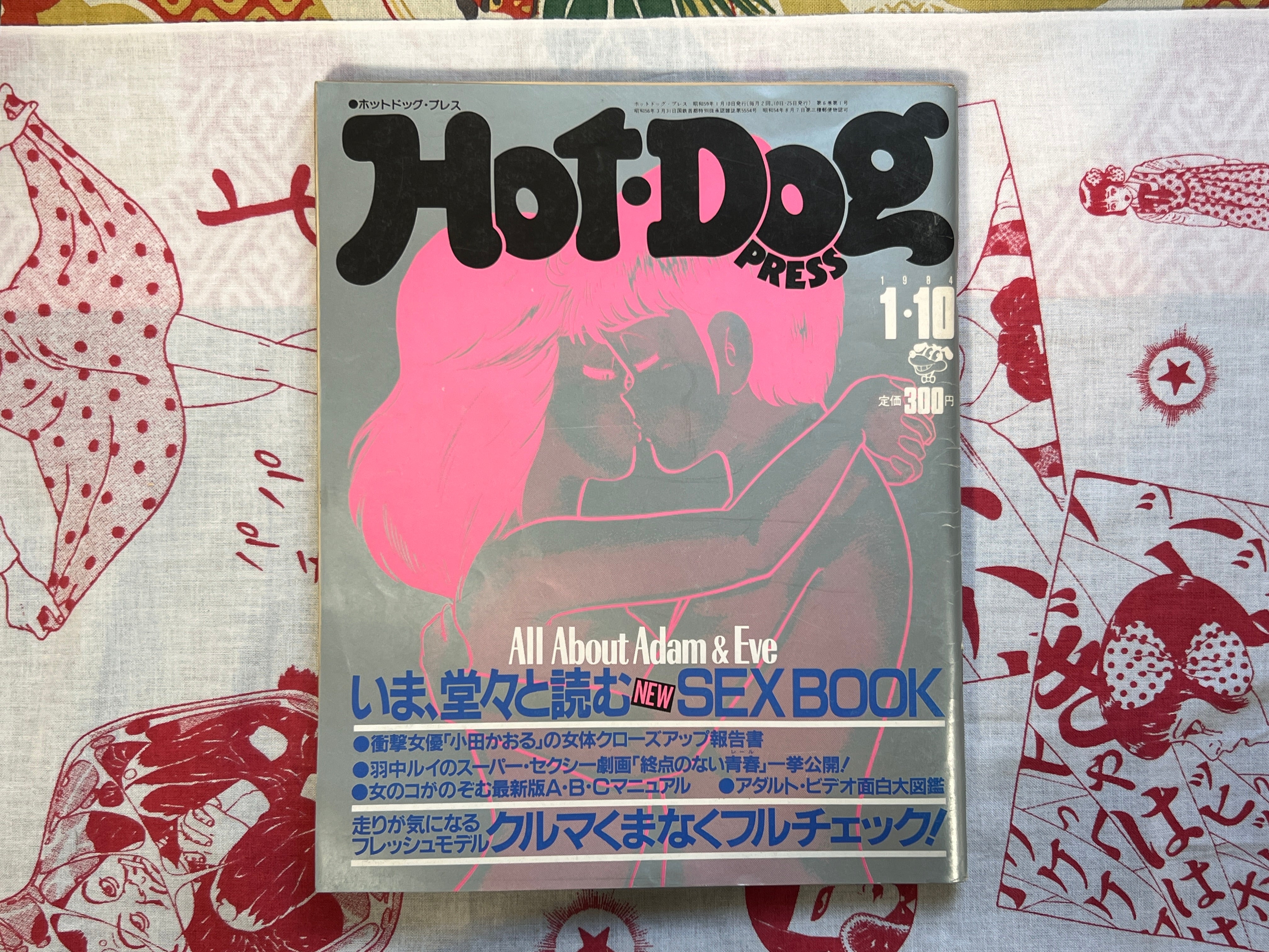 Hot Dog Press Magazine - All About Adam & Eve Sex Issue (1/1984)