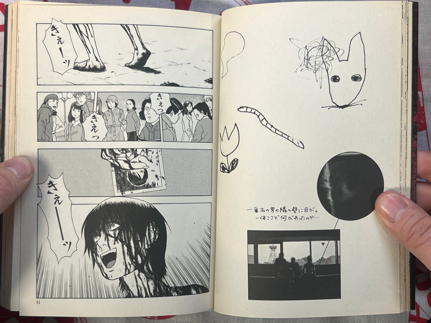 Red Sister by Masaya Hokazono (2010)