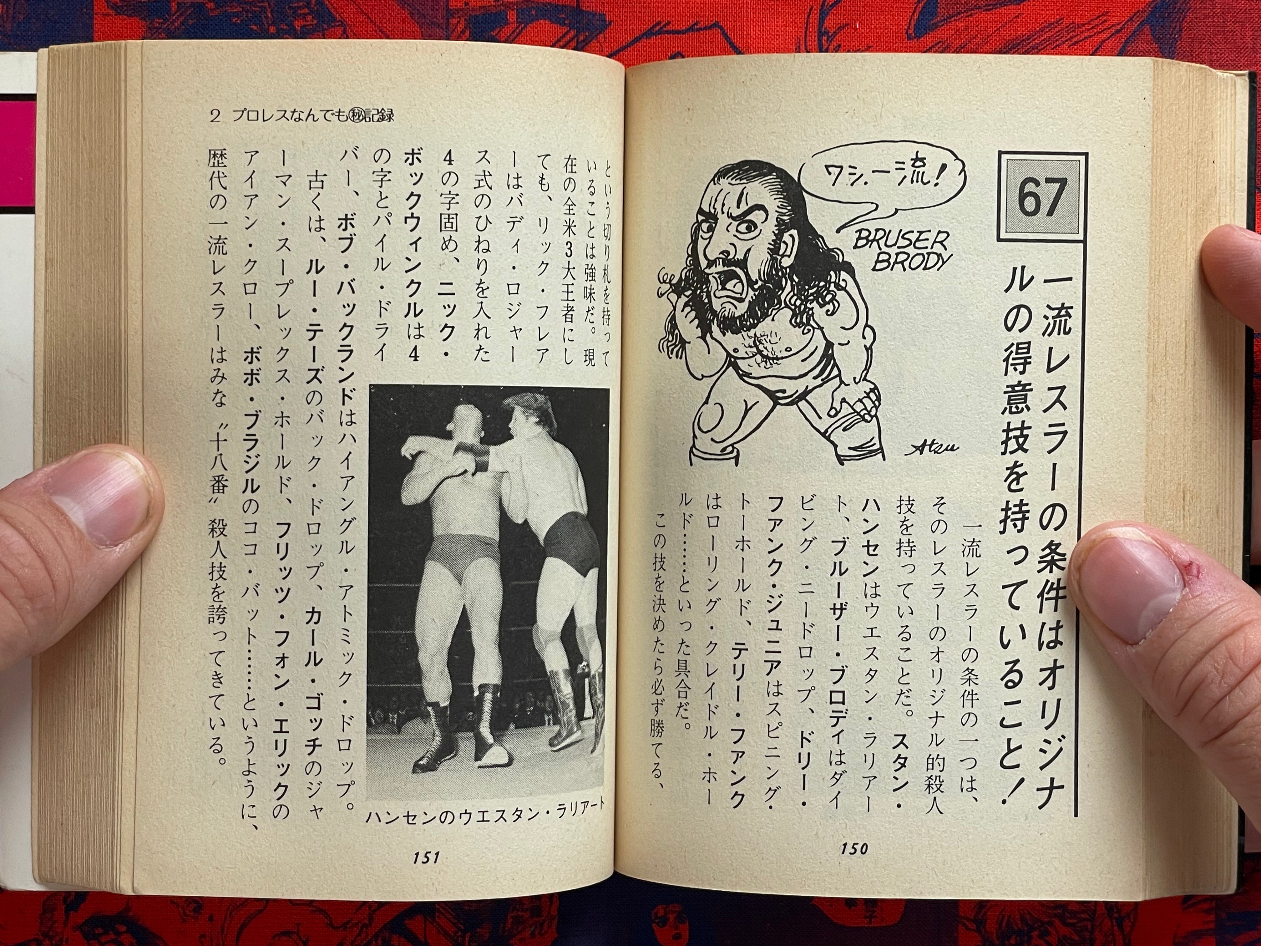 Pro Wrestling Everything Professor - bunko sized by Morioka Riu (1982)