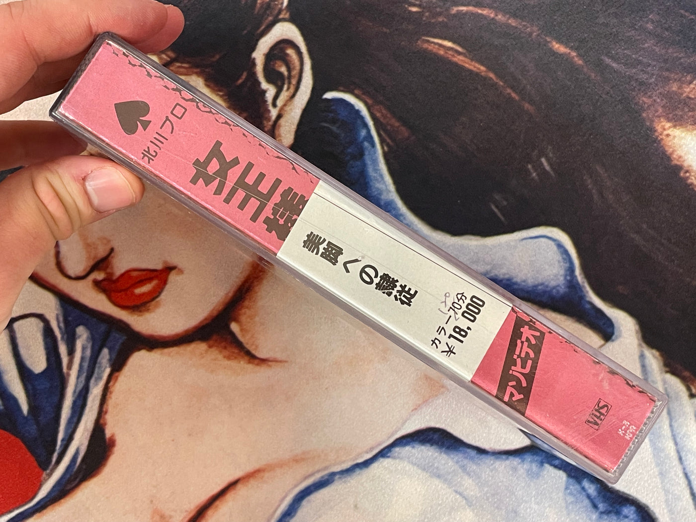 VHS - Dominatrix and Slaves: Servitude to Beautiful Legs by Hakushin M Video