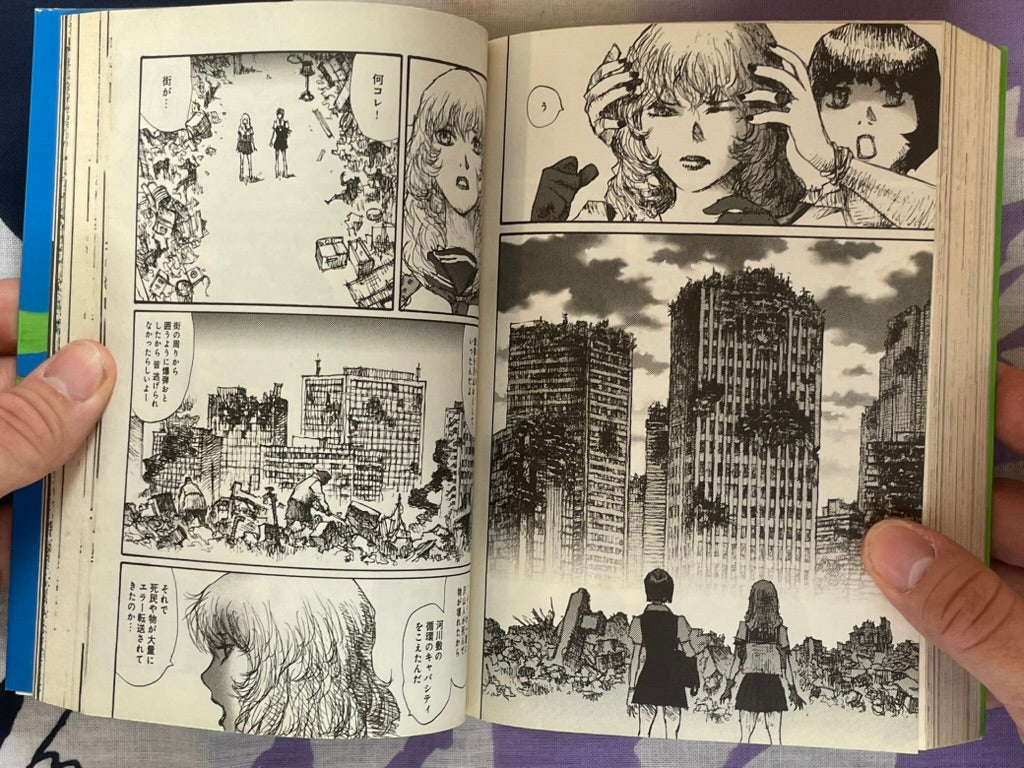 Becchin & Mandara by Jiro Matsumoto (2010)