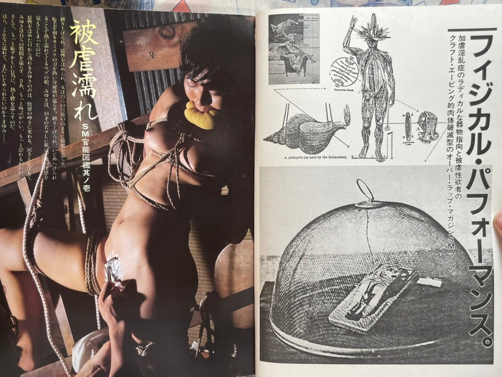 SM Mania Vol. 1 (1970s?)