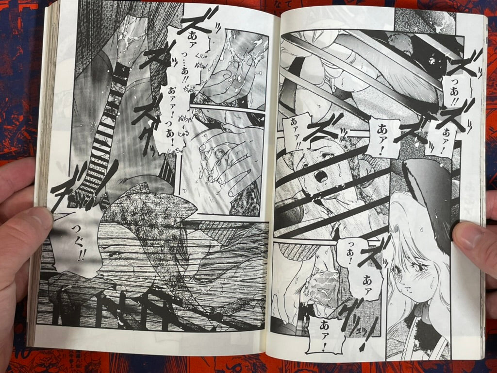 Manga Daisuki Magazine (6/1995)