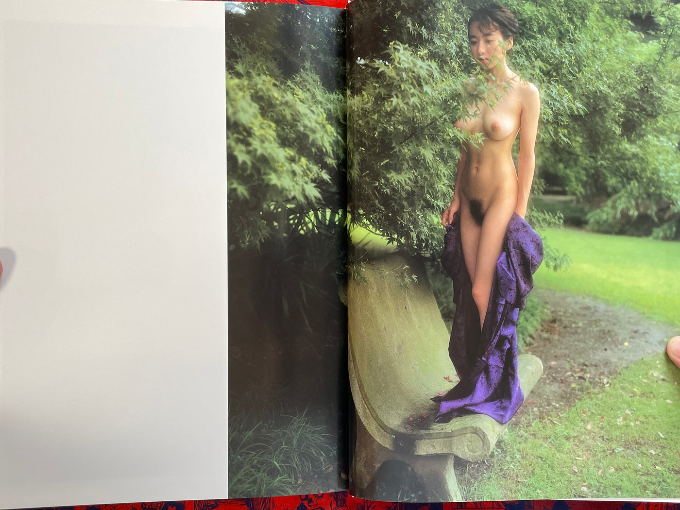Shanghi: Sakurako Akino by Hajime Sawatari (1993)