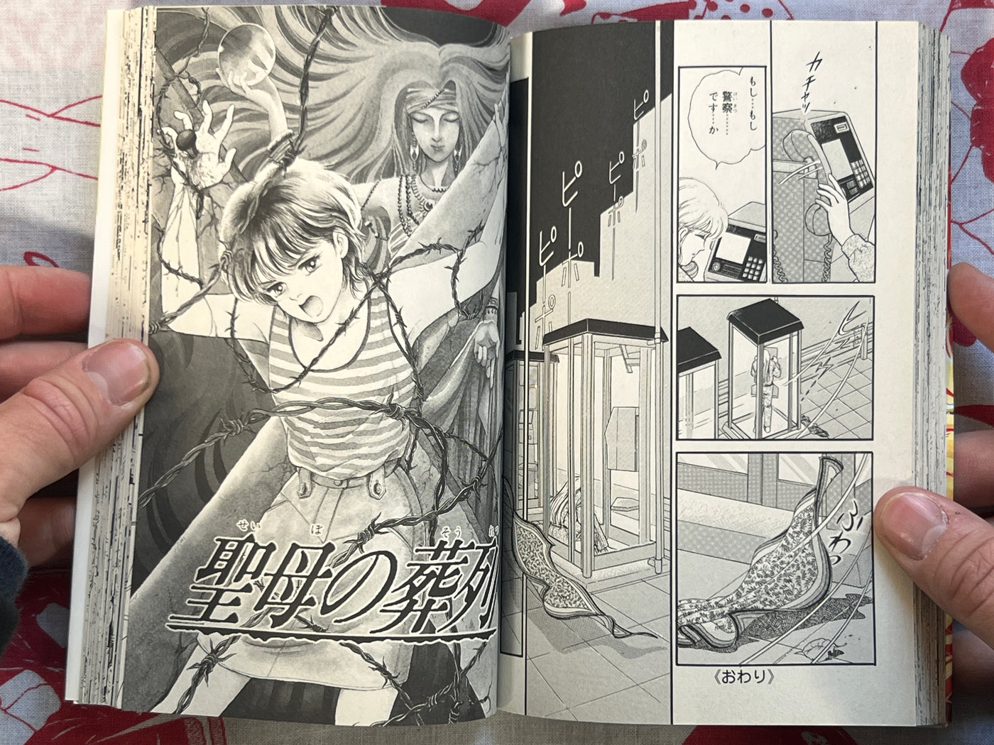 Breeding Ward by Seki Yoshimi (1993)