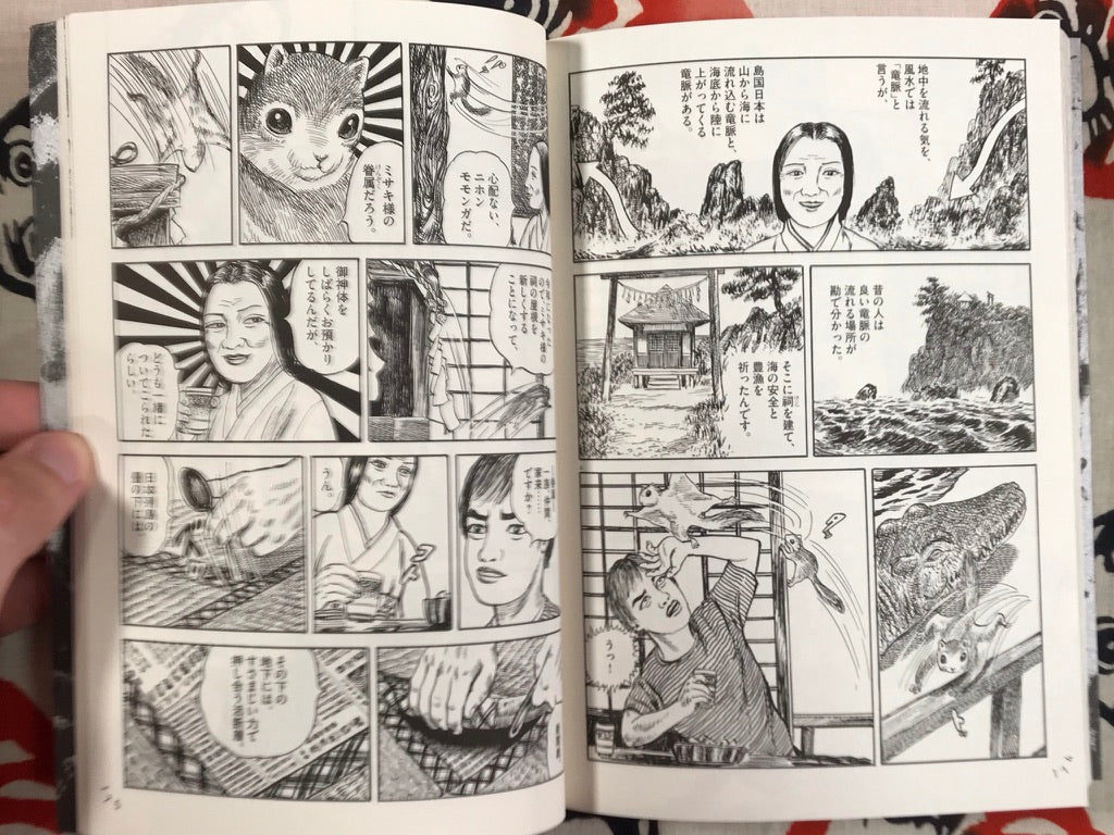 Feng Shui Pet by Kazuichi Hanawa - 2 volume set
