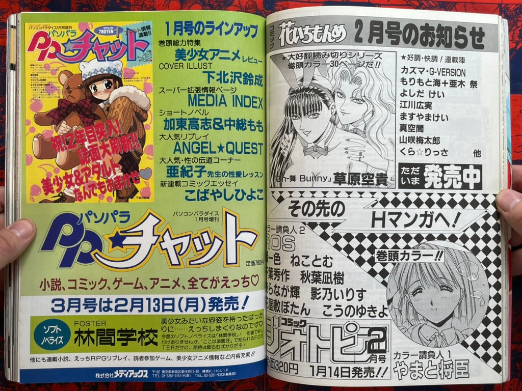 Pasocom Paradise (2/1995)