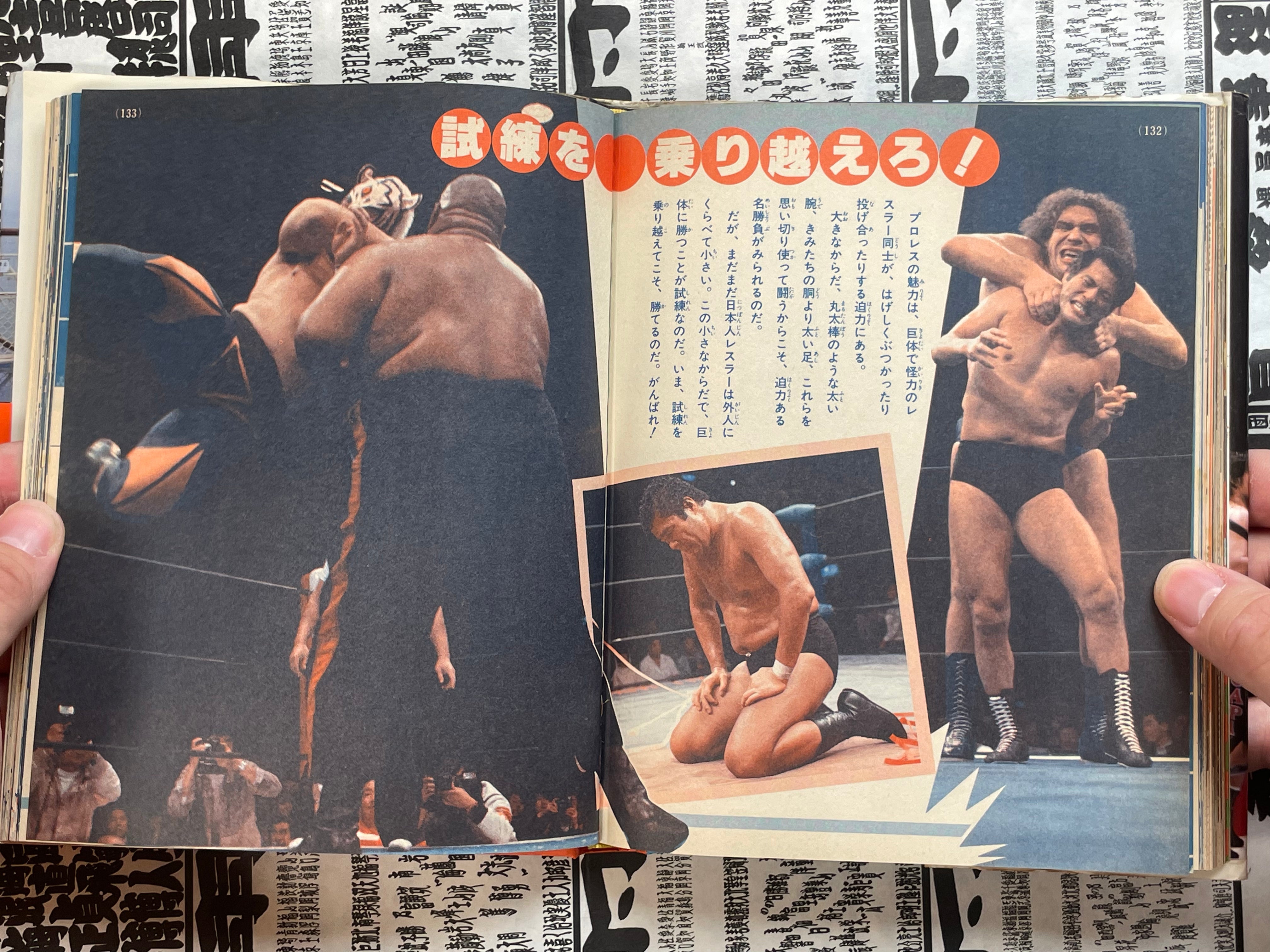 Let's Fight Pro Wrestling Picture Book by Shogakukan (1987)-thumbmail-17