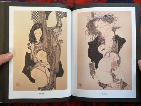SIGNED Rib of a Hermaphrodite by Yamamoto Takato - Hardcover + Slipcover (2023)