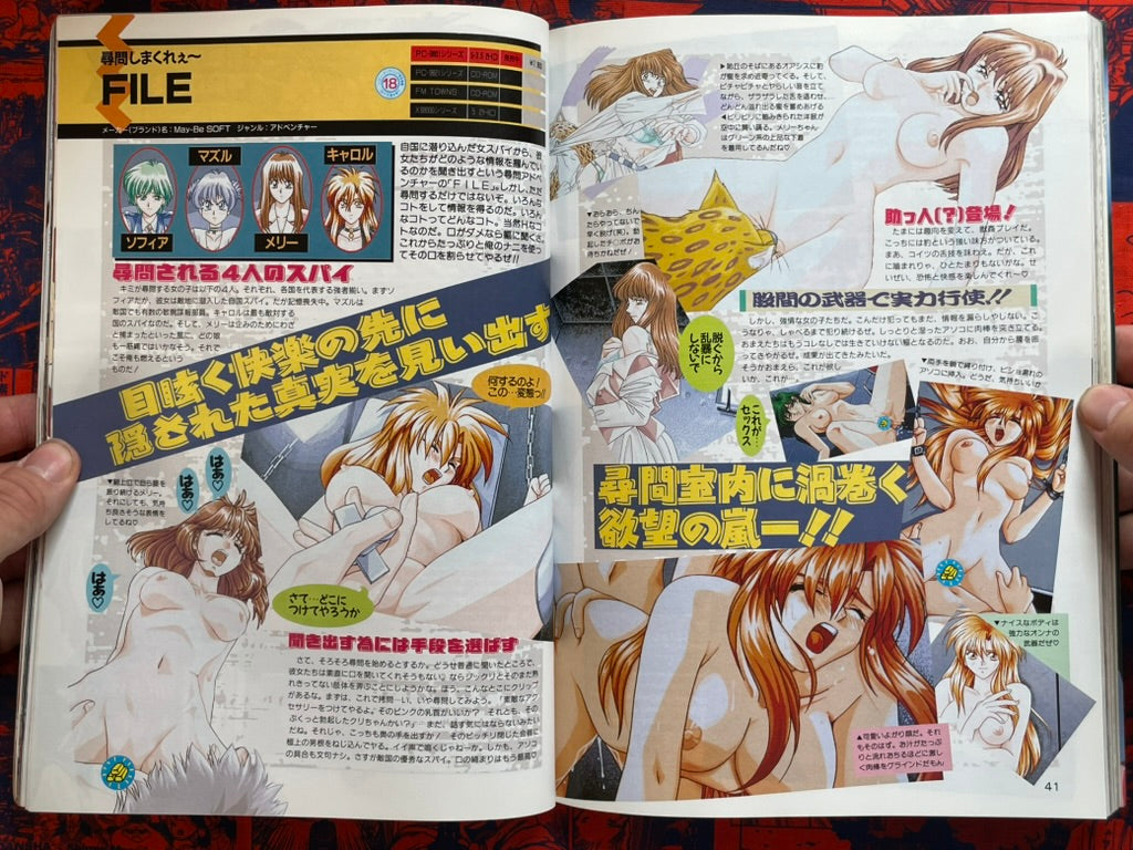 Pasocom Paradise (1/1995)