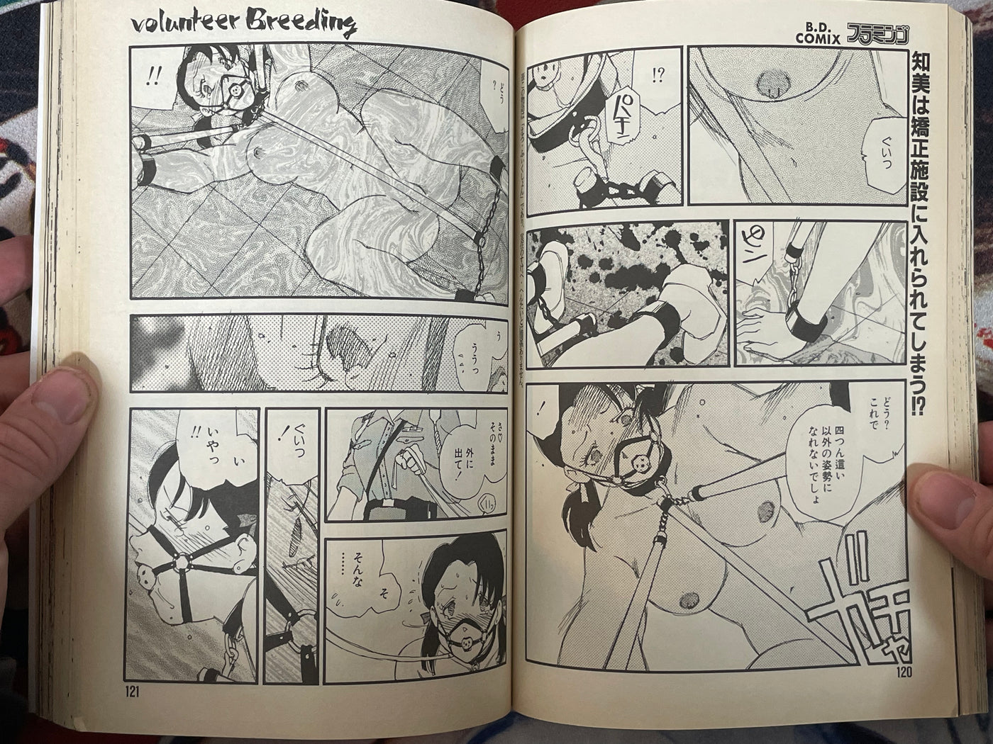 Flamingo: Bondage & Discipline Comix (1997/11)