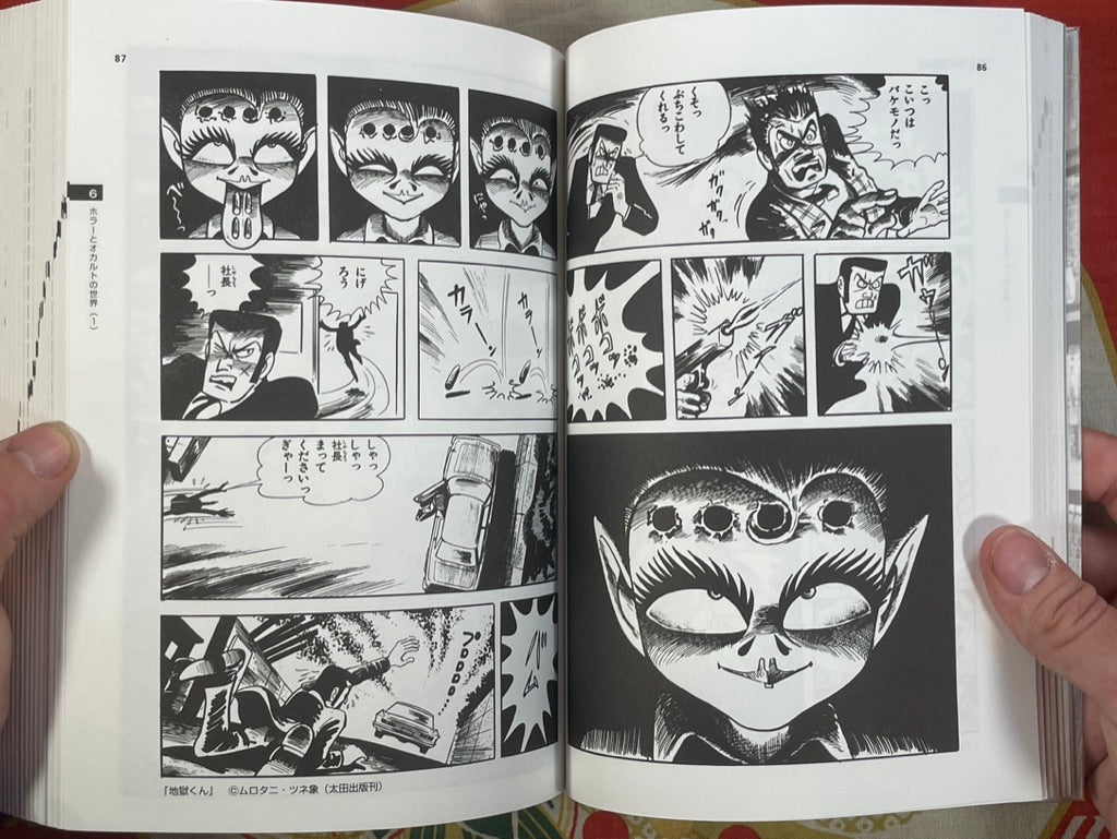 The Manga Age: Everything from Tezuka Osamu to Evangelion (1998)