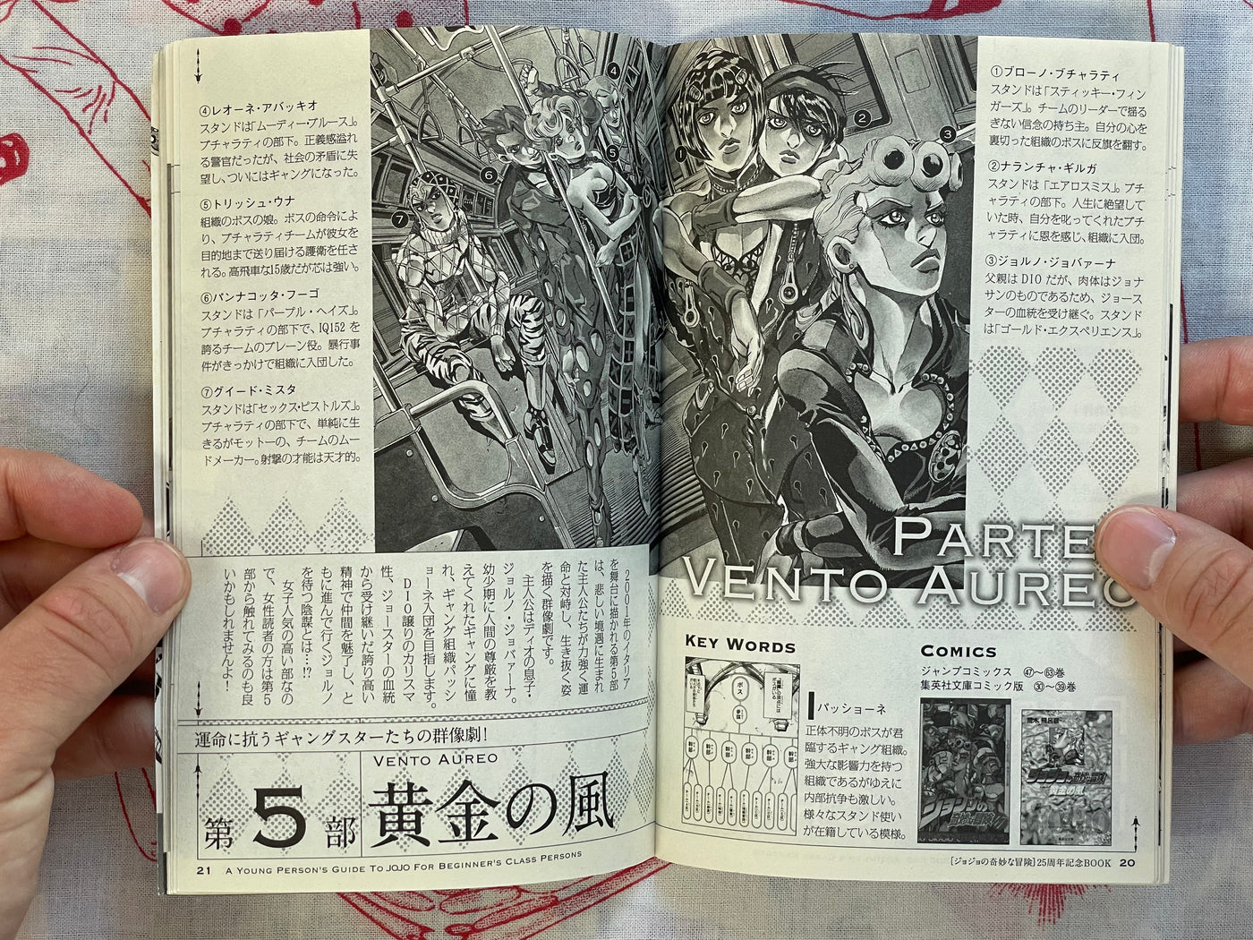 A Young Person's Guide To JoJo for Beginner's Class Persons - JoJolion 3 Bonus Booklet (2012)