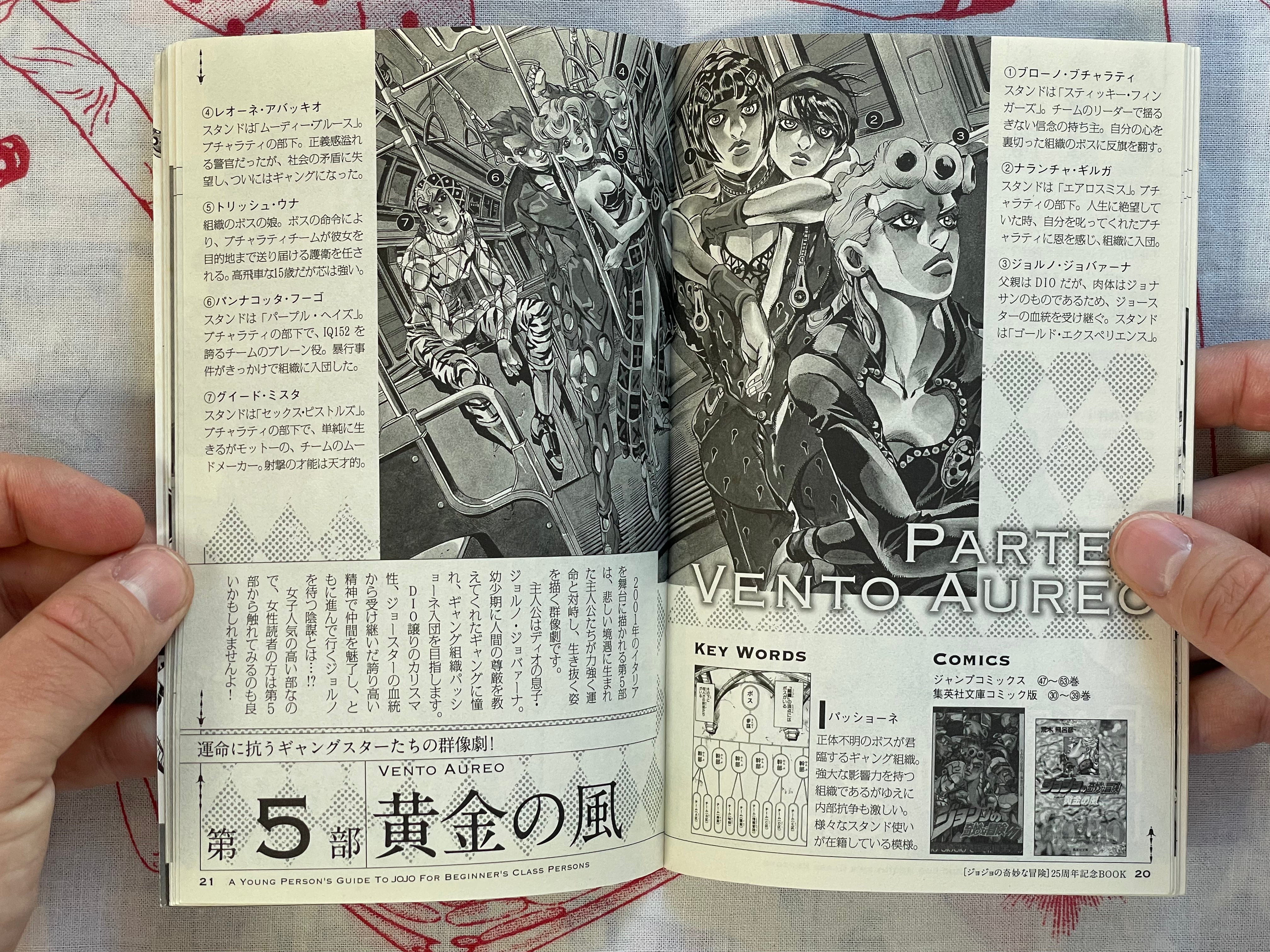 A Young Person's Guide To JoJo for Beginner's Class Persons - JoJolion 3 Bonus Booklet (2012)