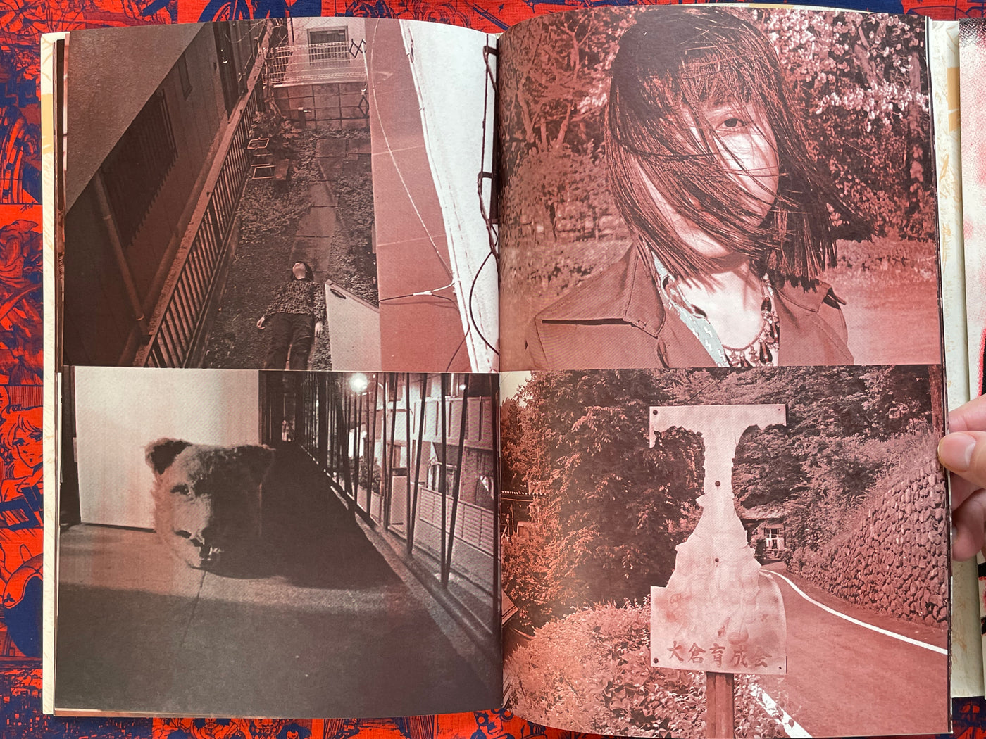 VOVO by Daisuke Ichiba (2009)