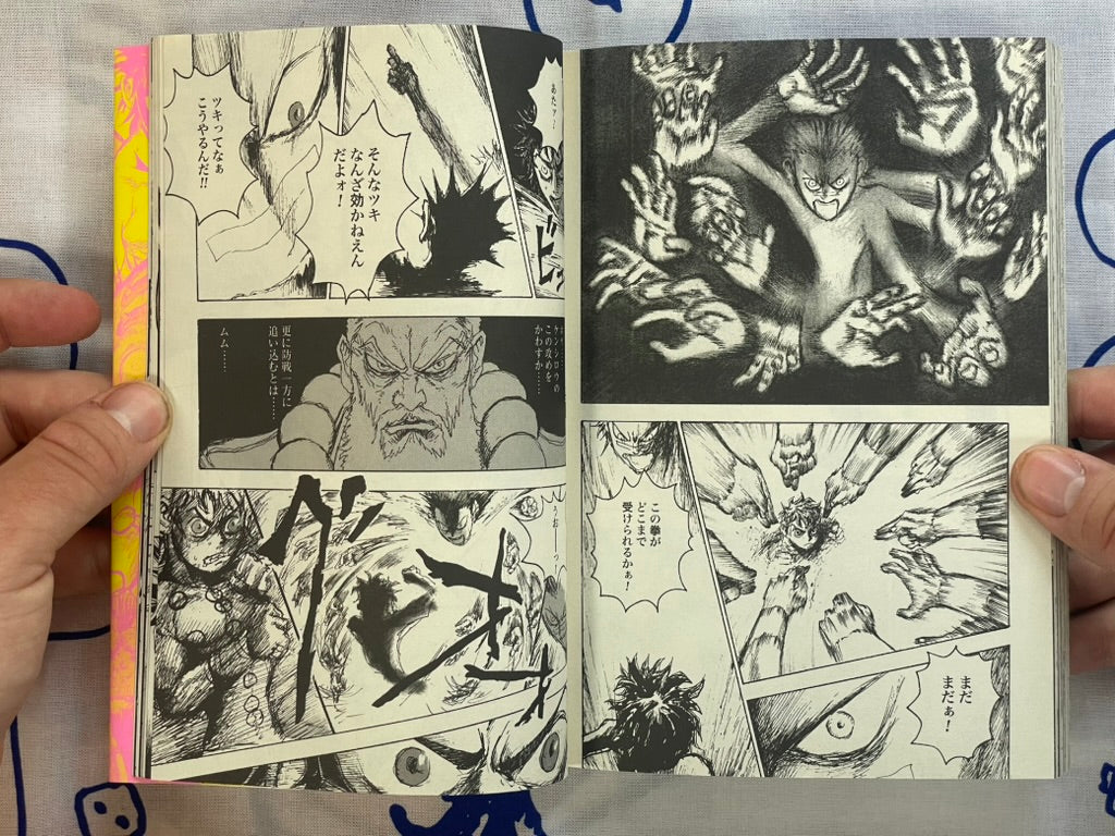 Evil Flowers: Fist of the North Star Jagi Side Story 1-2 Full Set by Shinichi Hiromoto (2009)-thumbmail-17