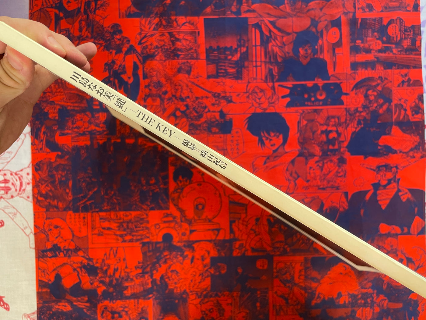 The Key: Kawashima Naomi Photo Book (1997)