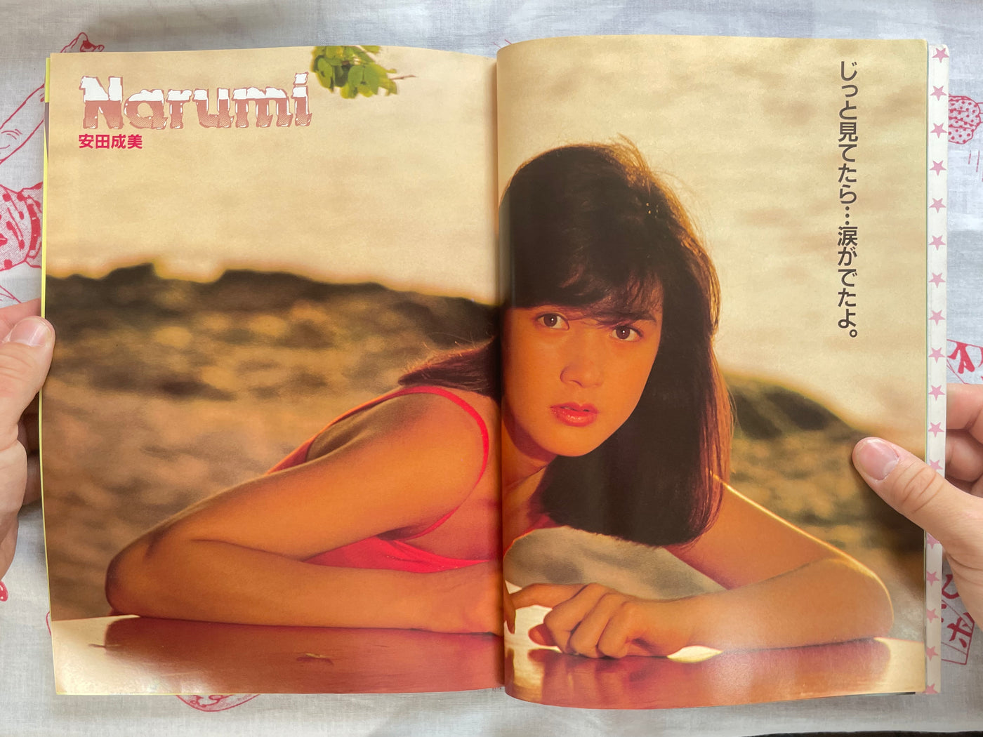 Gal's Mate Best Selection 85 by Playboy Weekly (1985)