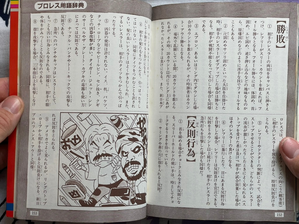 Definitive Edition: Introduction to Pro Wrestling by Big Wrestler (1984)