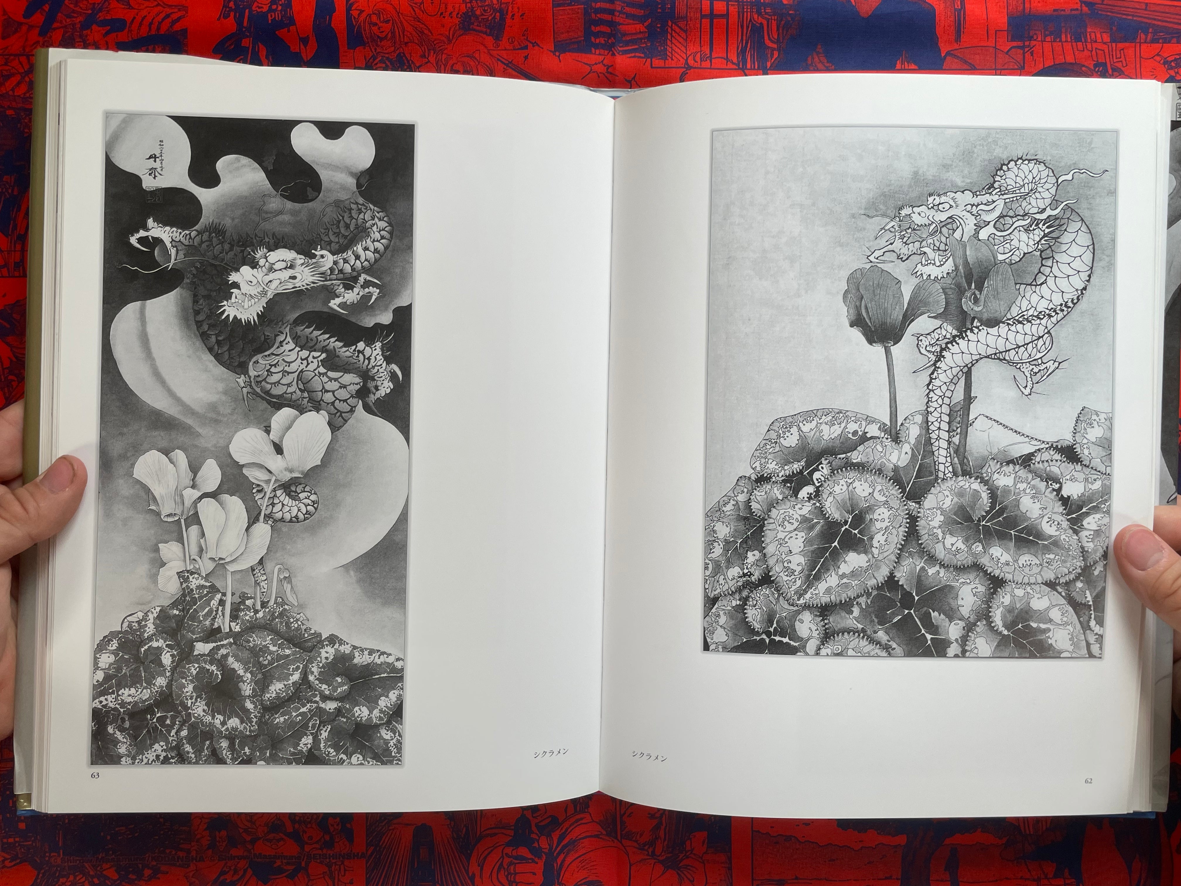 Tansai: Art of 100 Dragons - hardcover by Terano Tansai (2011)