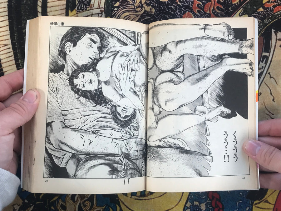 Pleasure White Paper by Susumu Tsutsumi (1984)