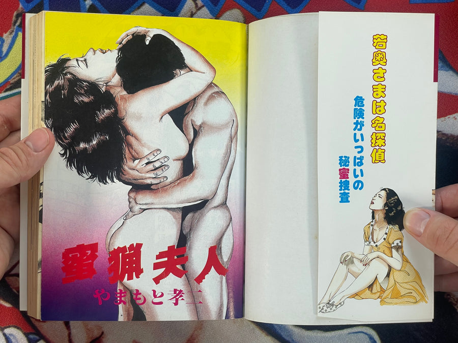 Honey Hunting Lady by Koji Yamamoto (1993)