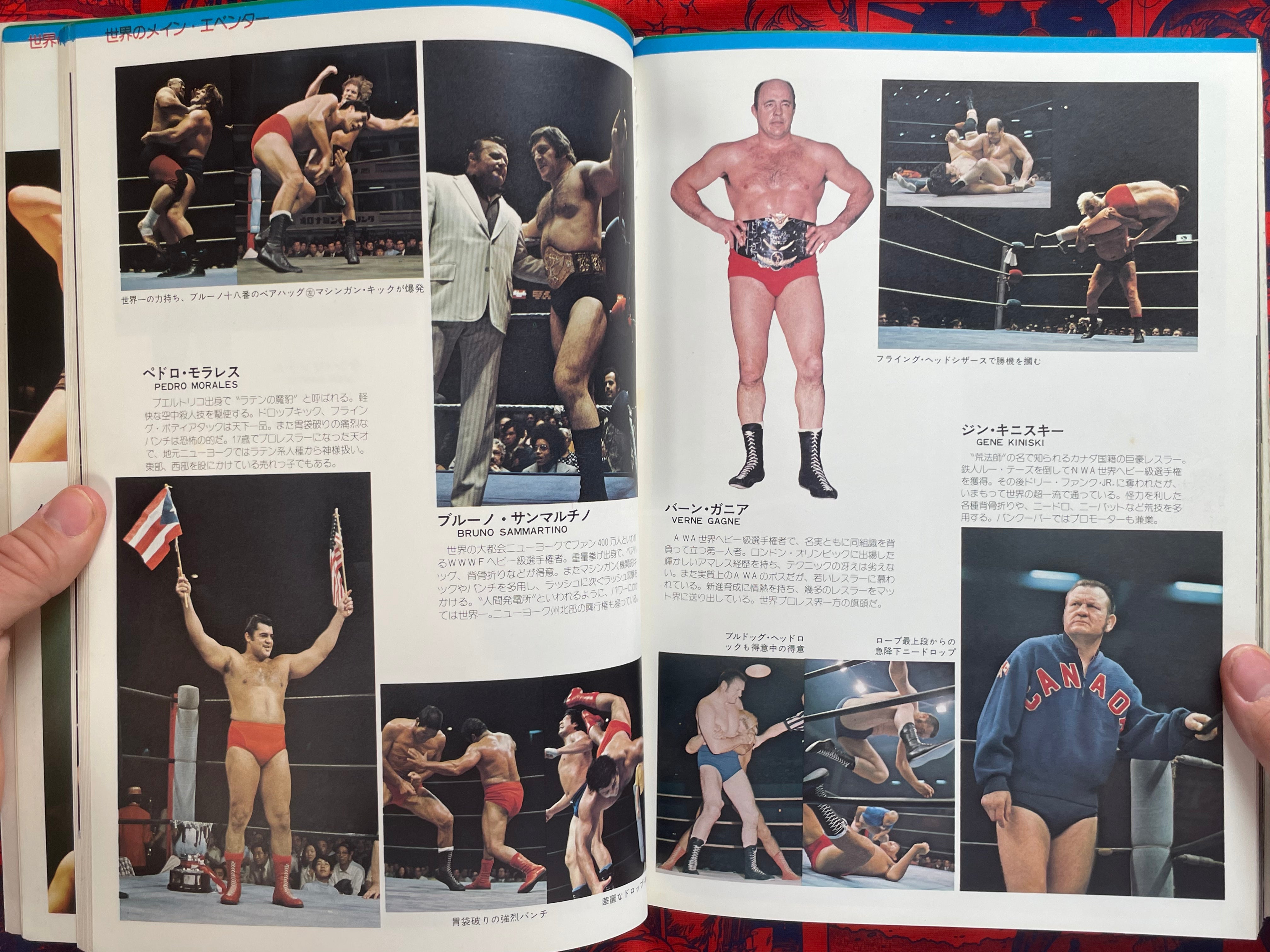 Pictorial History of Pro-Wrestling in Japan (1975)